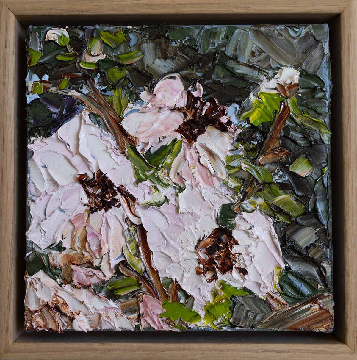 SOLD - 'Gentle Hermione II', 23.5cm x 23.5cm, Oil on Linen, Framed