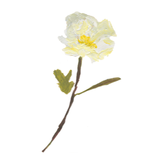 Painting of a white flower with yellow center, green leaves, on a brown stem.