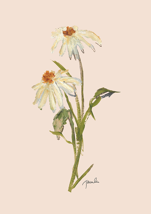 dusty peach daisies.png