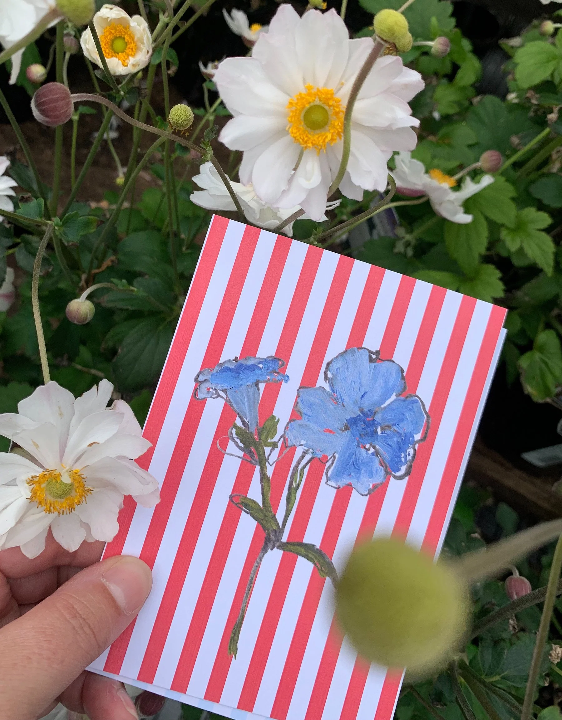 red stripe card5.jpg