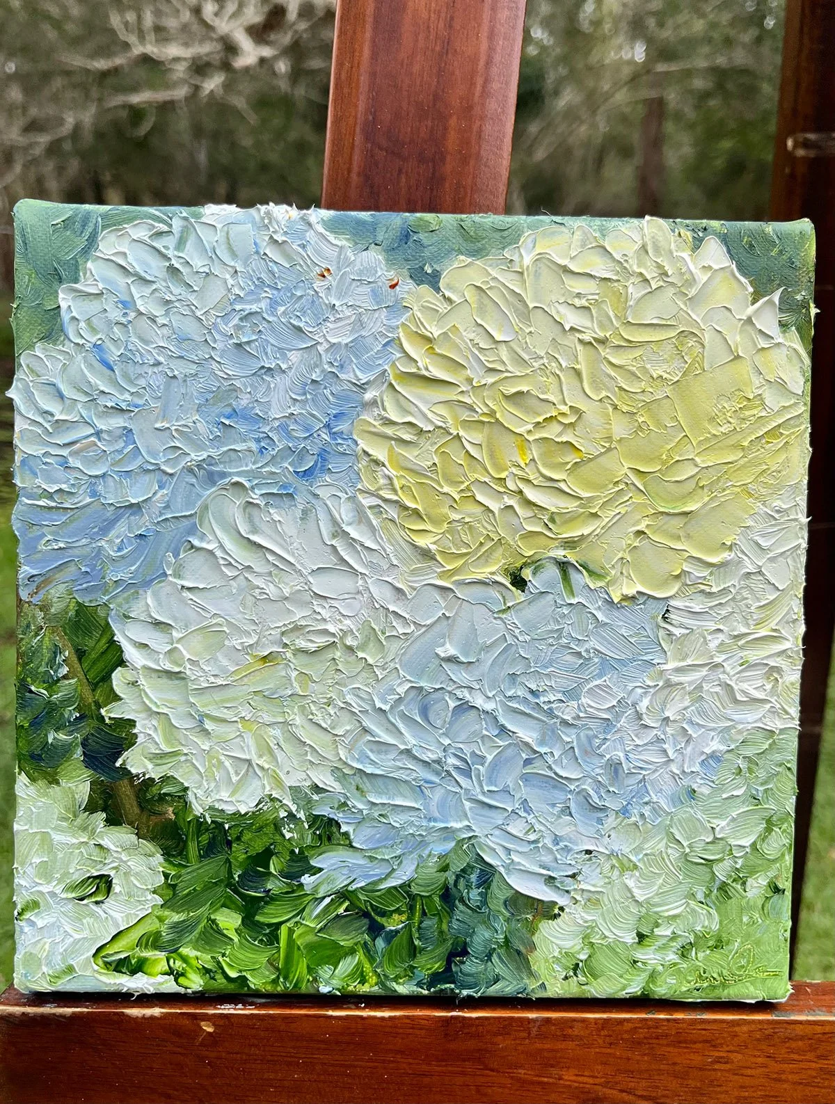 SOLD - 'The Wealth of Joy II', 23.5cm x 23.5cm, oil, framed in oak.
A wonderfully beautiful desktop delight: hydrangeas in full bloom. Oil applied with my palette knife to render this work highly textured. Soft greens and water blue hold your attenti