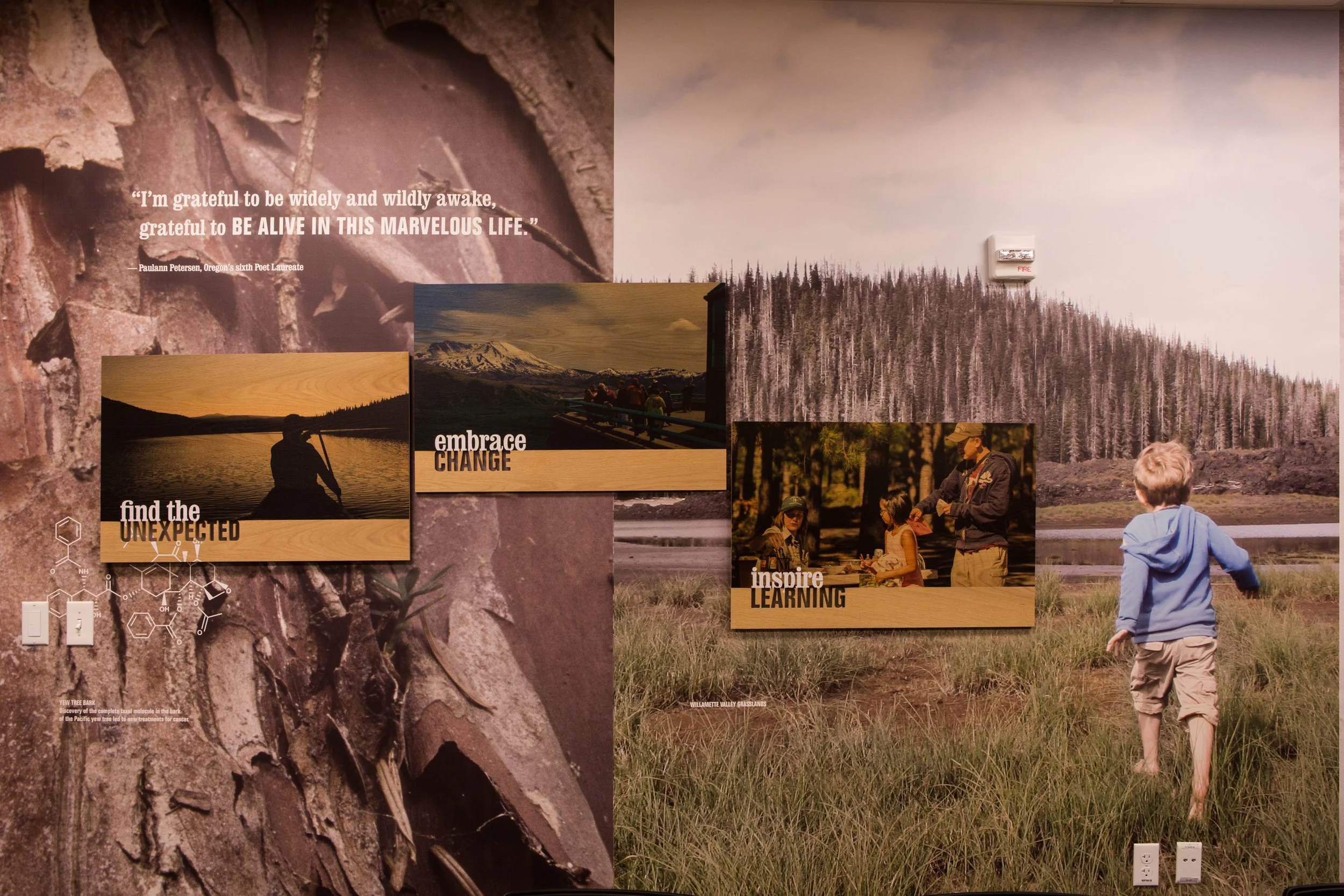 US Forest Service: Narrative Branded Environment