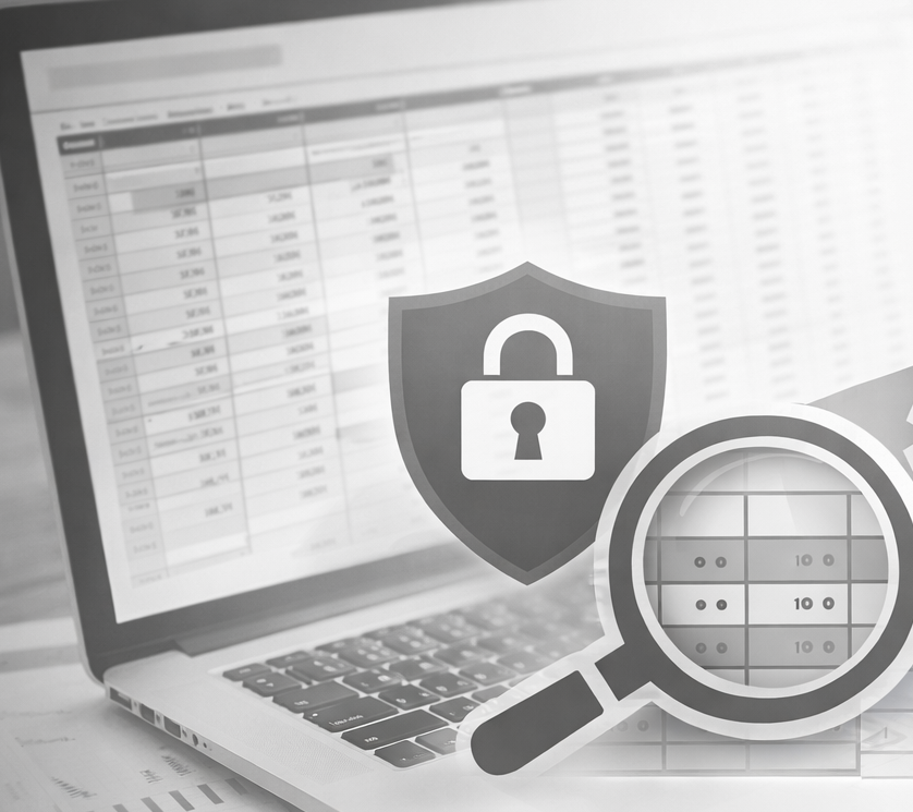 Expert Determination