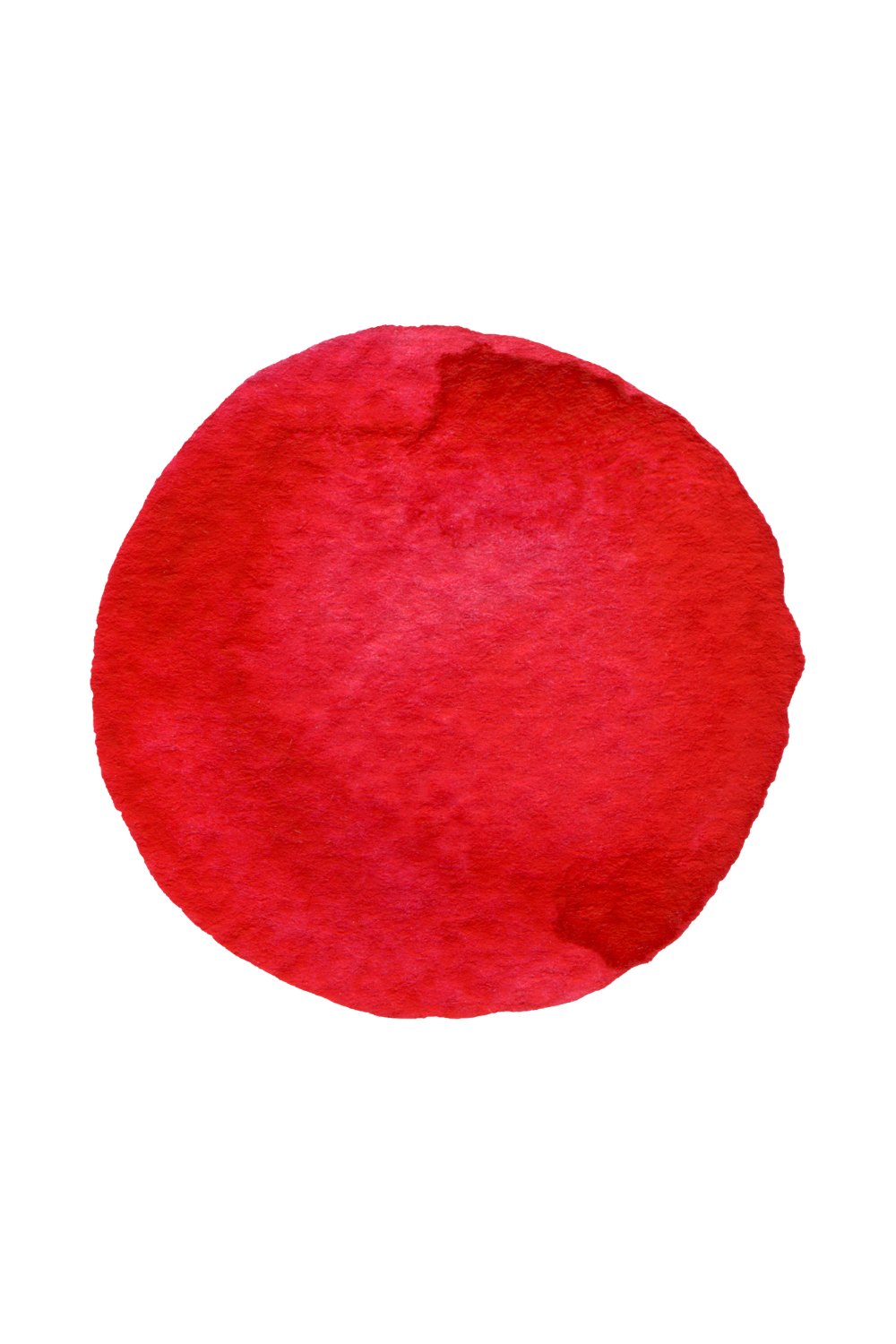 Vikasati Sadhana