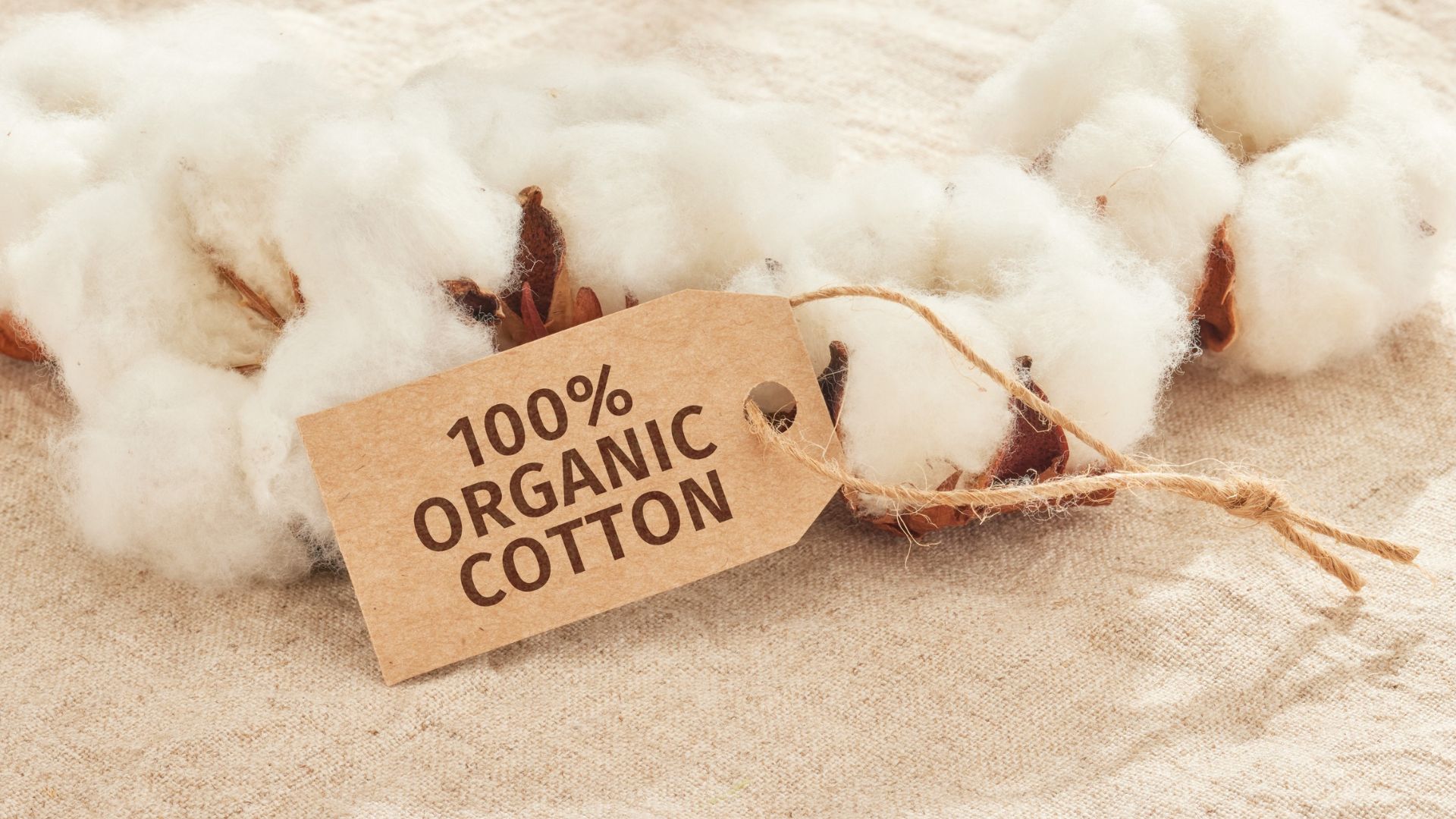 Why You Should Switch to 100% Organic Cotton Underwear
