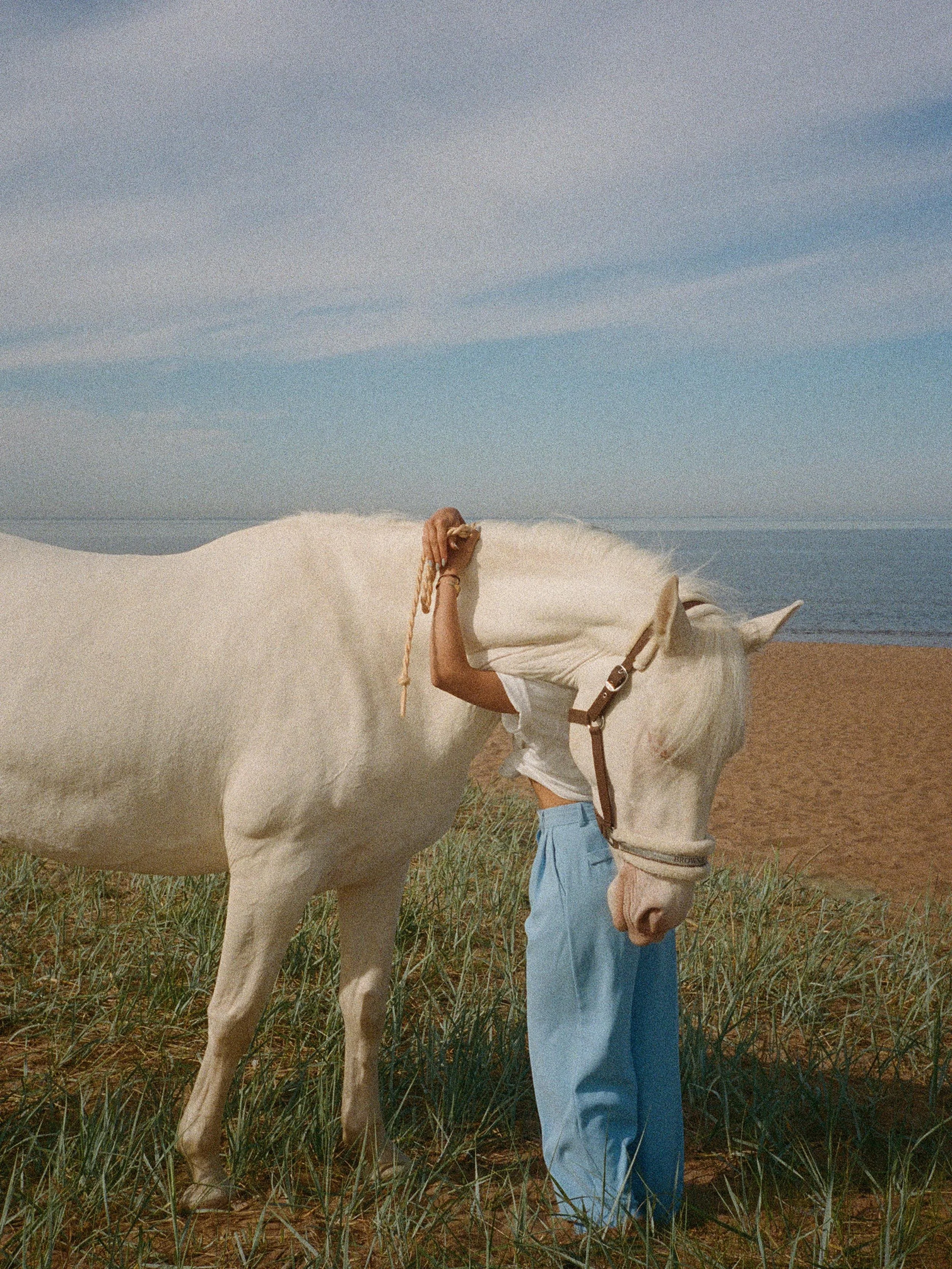 A person holding a white horse's reins in a grassy field, with the horse's head turned away from the camera and a blue sky with clouds in the background.