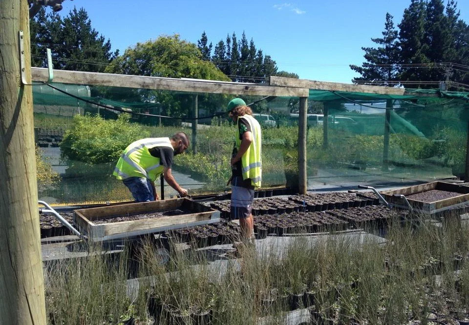 2016: Te Whāngai Trust won the Green Ribbon Supreme Award.