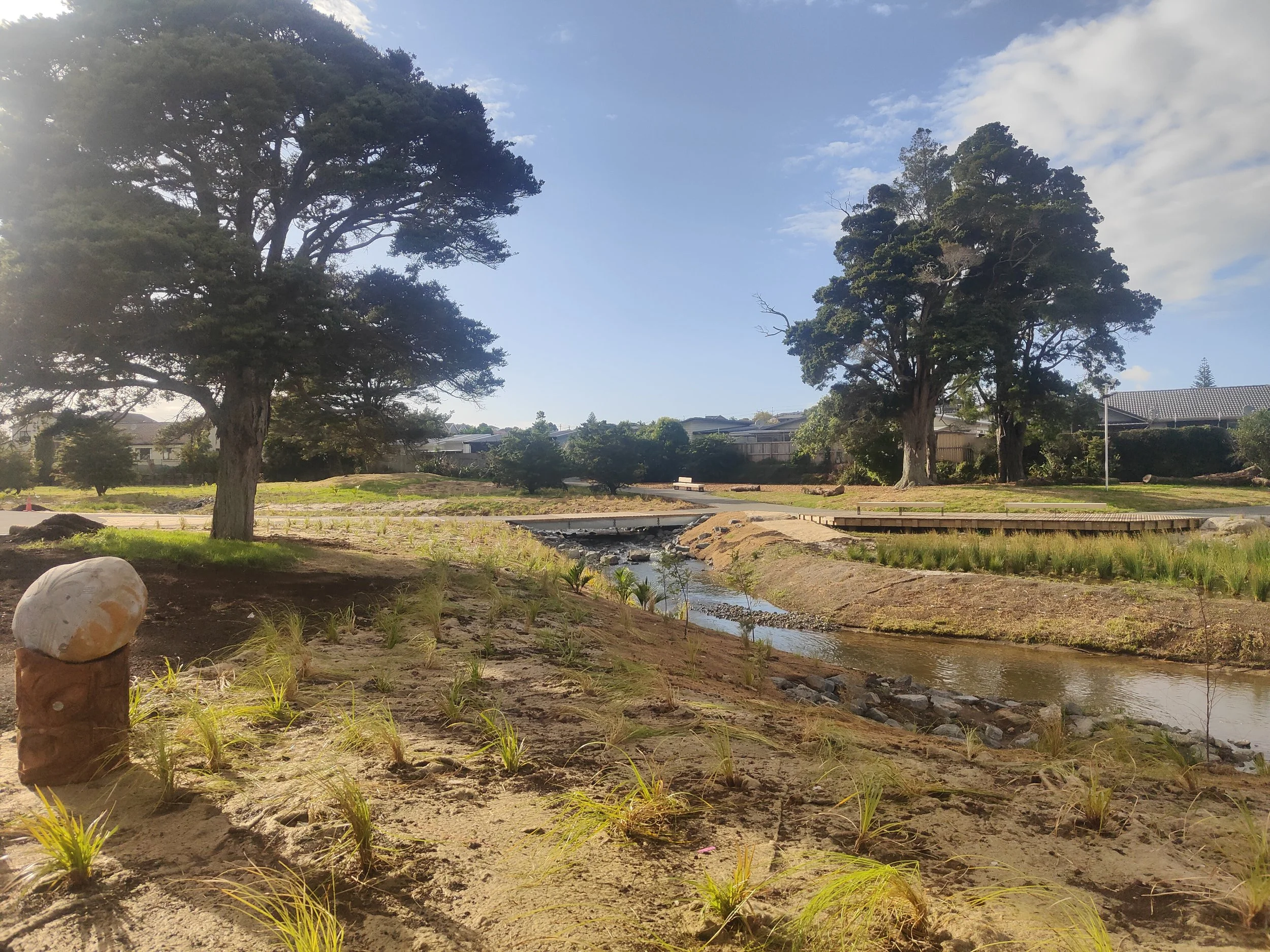 Riparian planting establishing along new meanders (early establishment phase).
