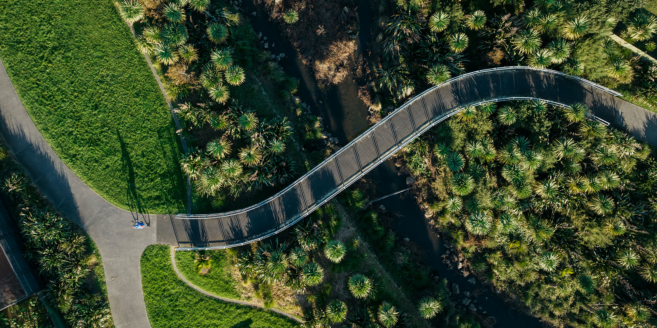 Te Auaunga Awa | Oakley Creek Restoration