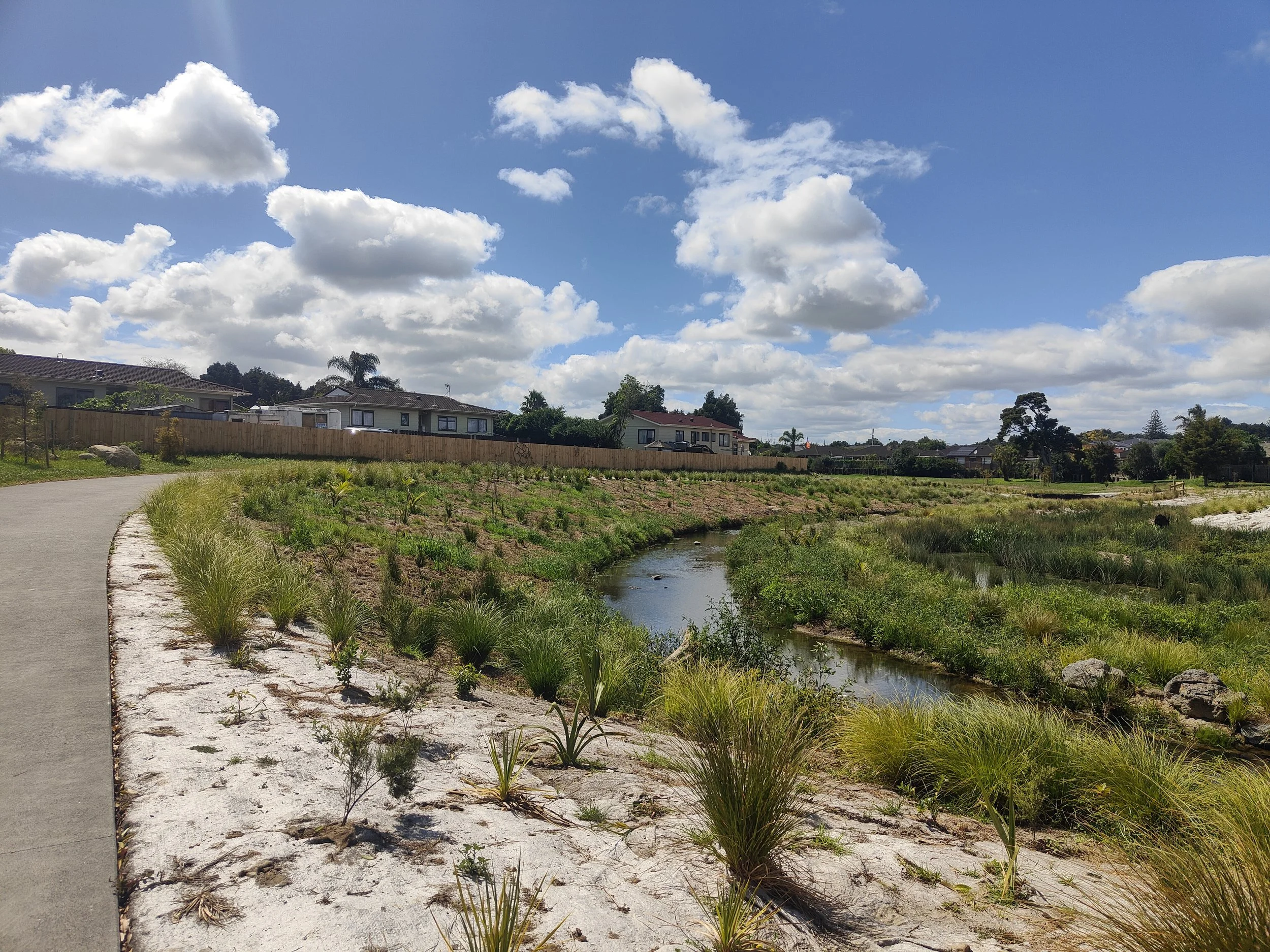 Wider shared path and new crossings reconnect communities on both sides of Te Puhinui.