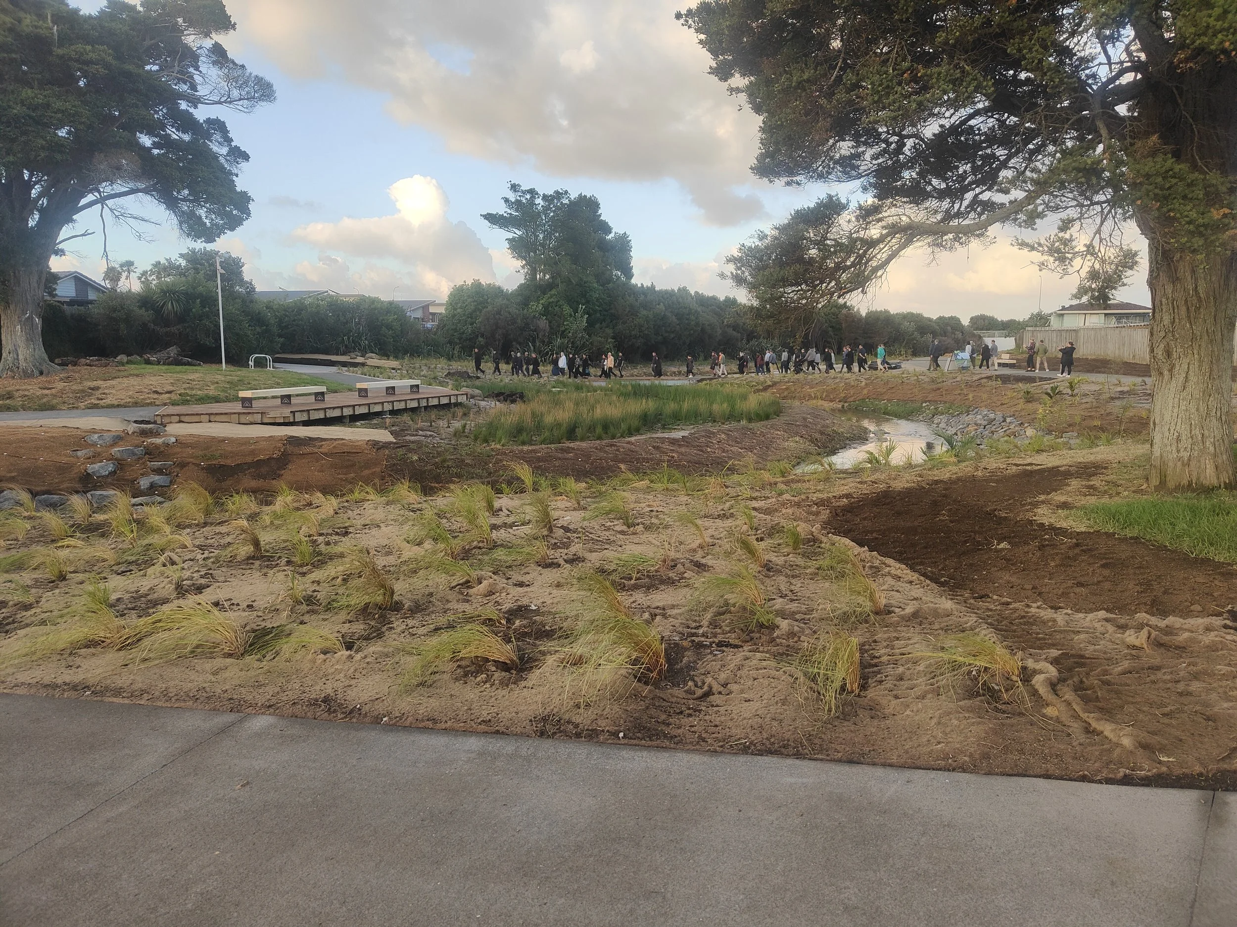 Riparian vegetation in establishment phase. 