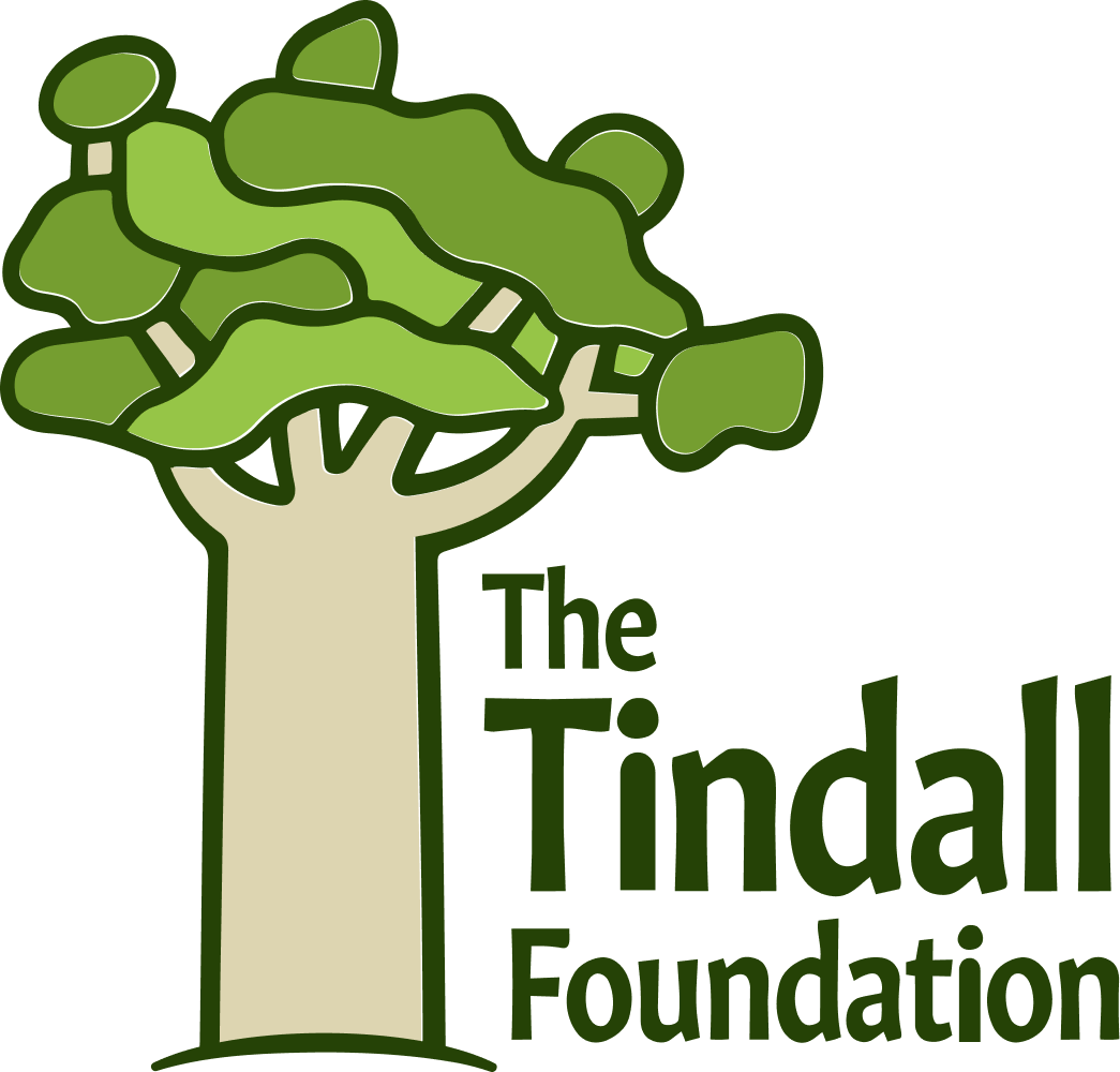 tindall.png