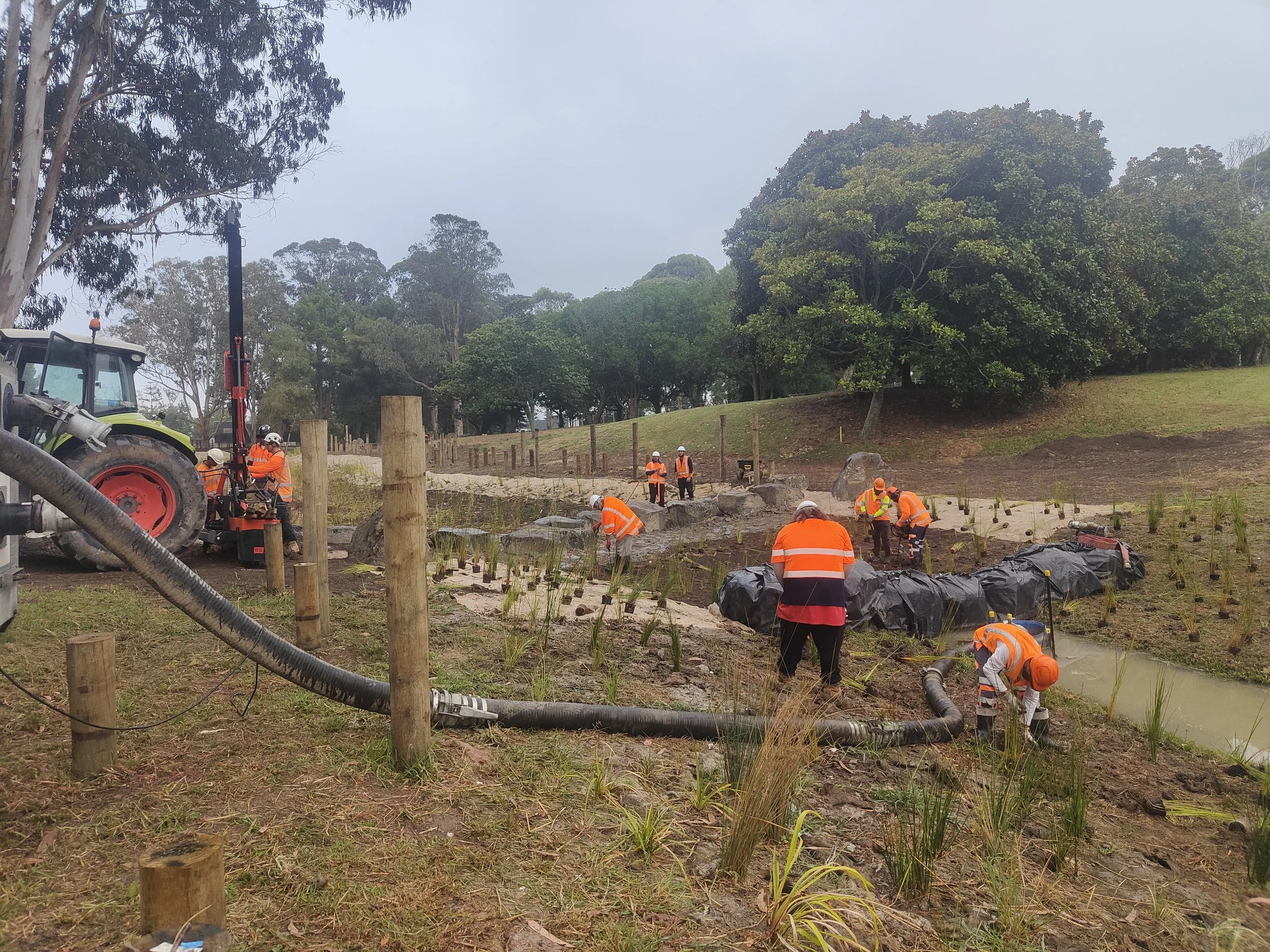Our Environmental Services team planting the new repo (wetland) at Hayman Park. 