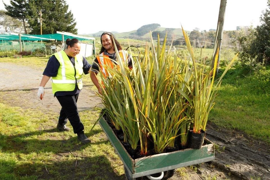2007: Te Whāngai Trust Established by Adrienne and Gary Dalton.