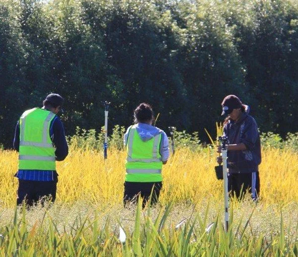 2012: Sustainable Business Network recognised Te Whāngai's innovative model combining environmental restoration with employment and training pathways.