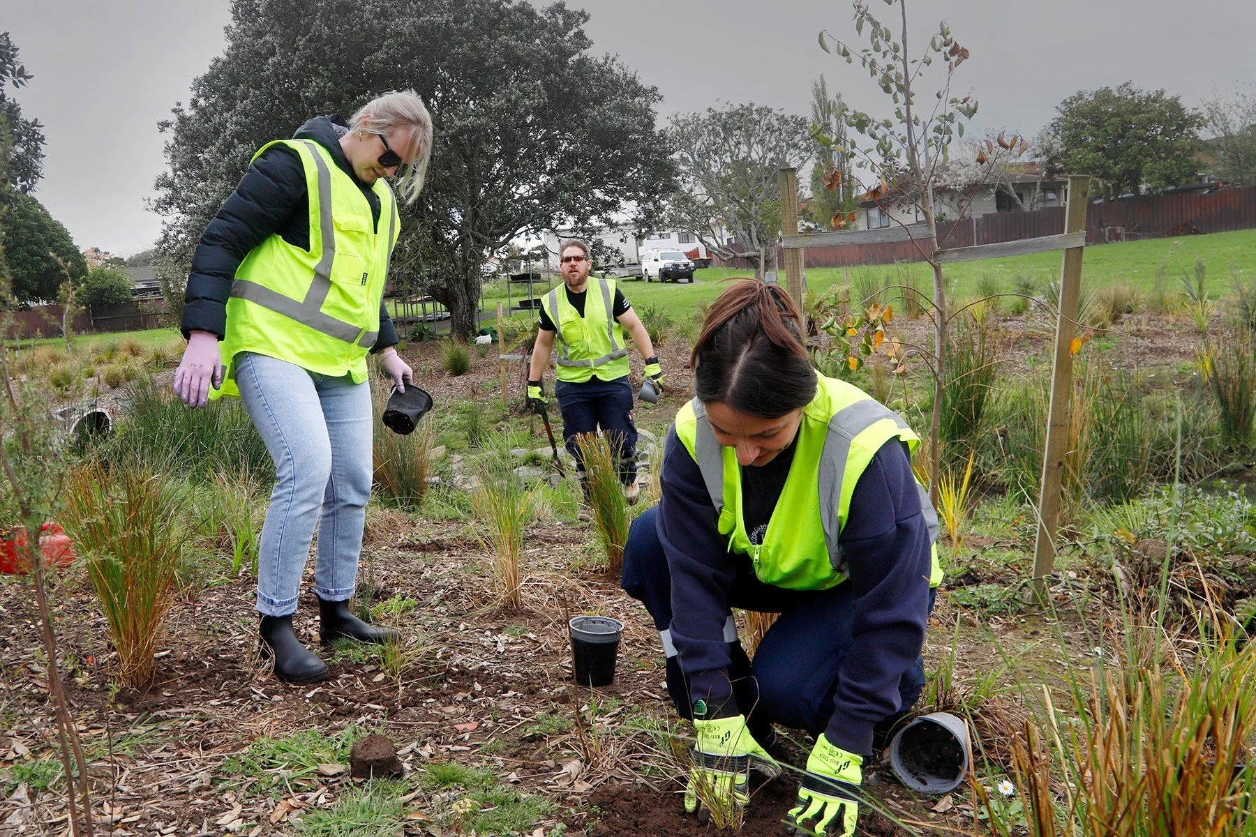 Attendees at a community planting day at the Blackgate Stream.