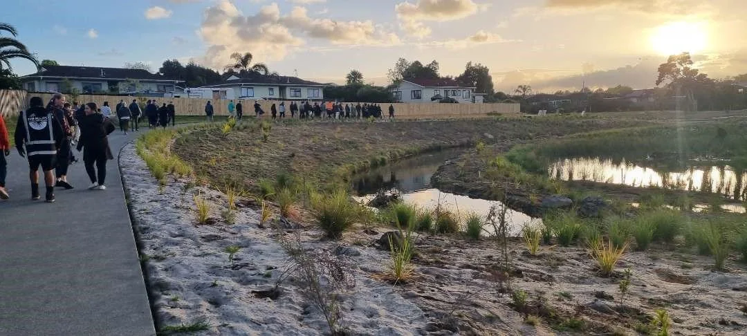 Stage 1: Naturalised stream alignment replacing a concrete channel at Wai‑Ākatea / Rata Vine Stream Reserve.