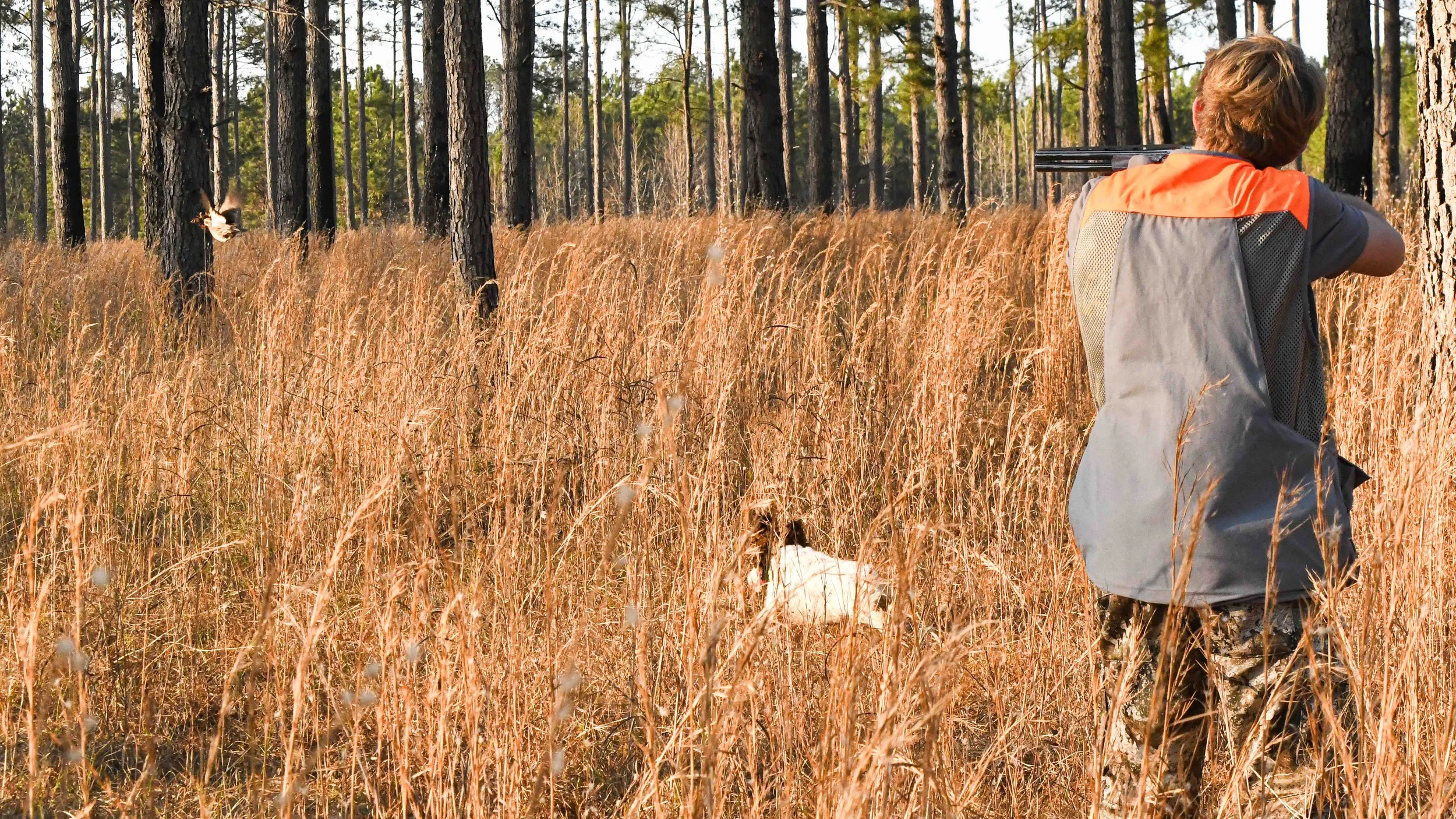 Boy-Shooting-Quail-WIth-Dog.jpg