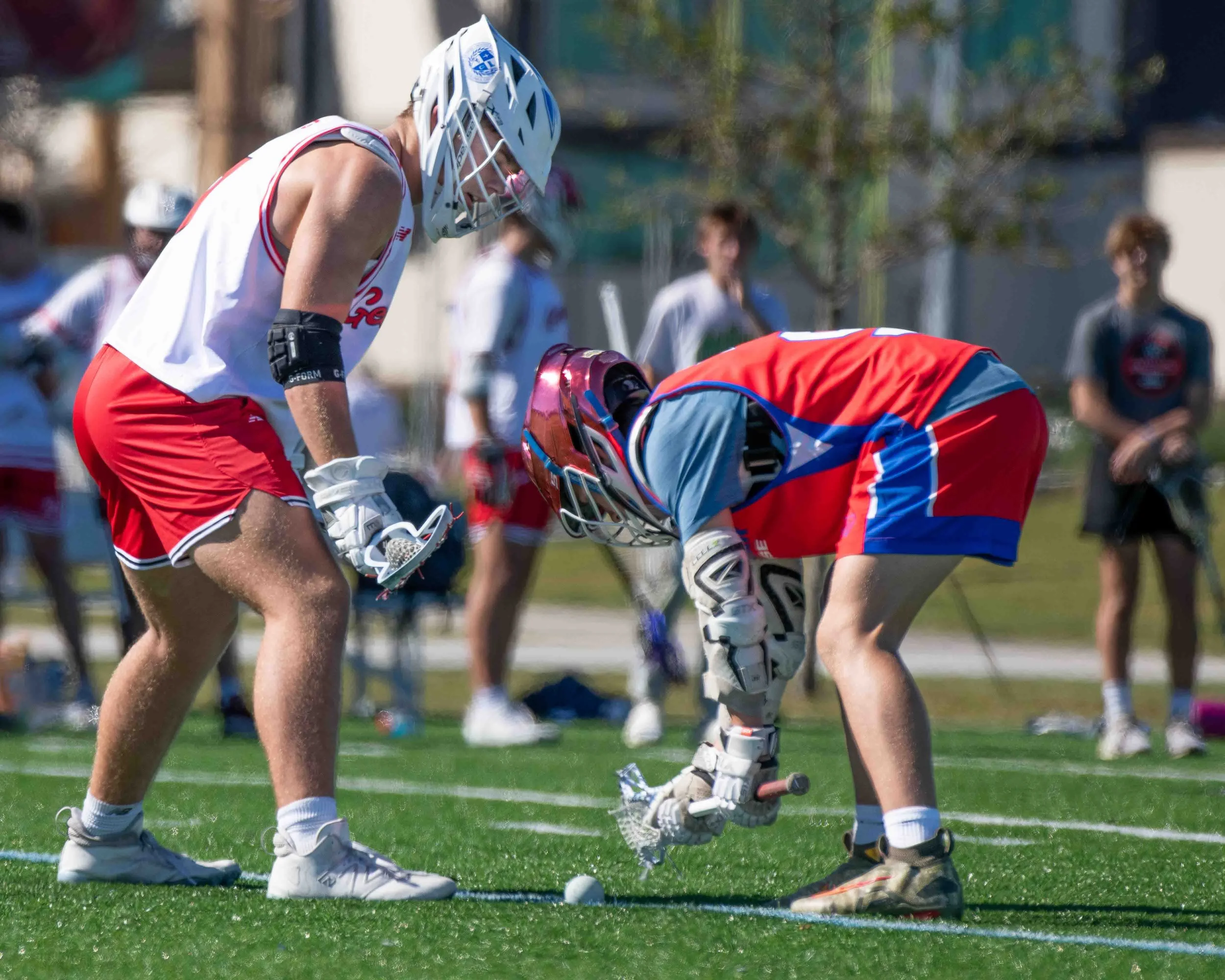 Lacrosse-Players-Face-Off.jpg