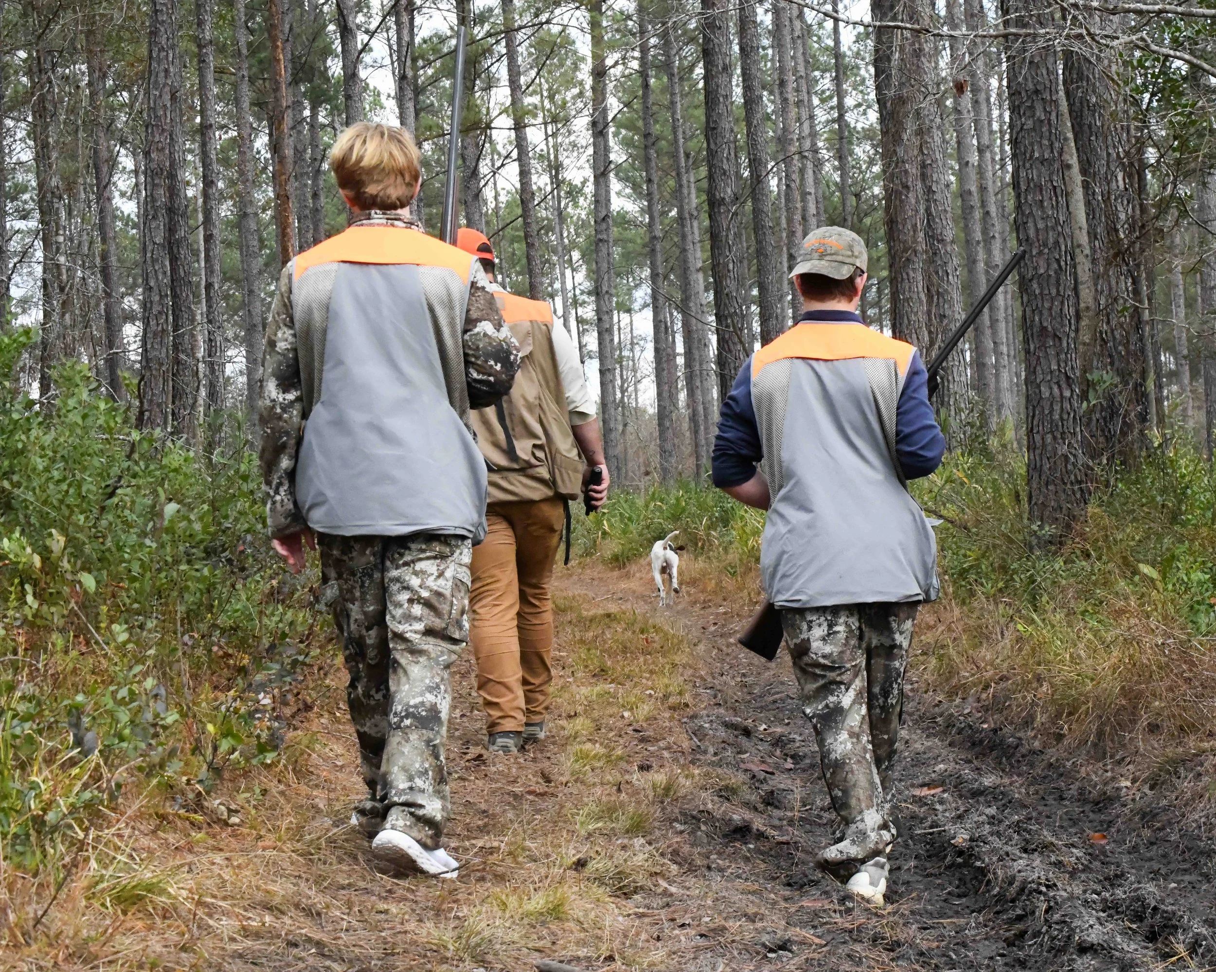 Walking-on-Trail-Quail-Hunting.jpg