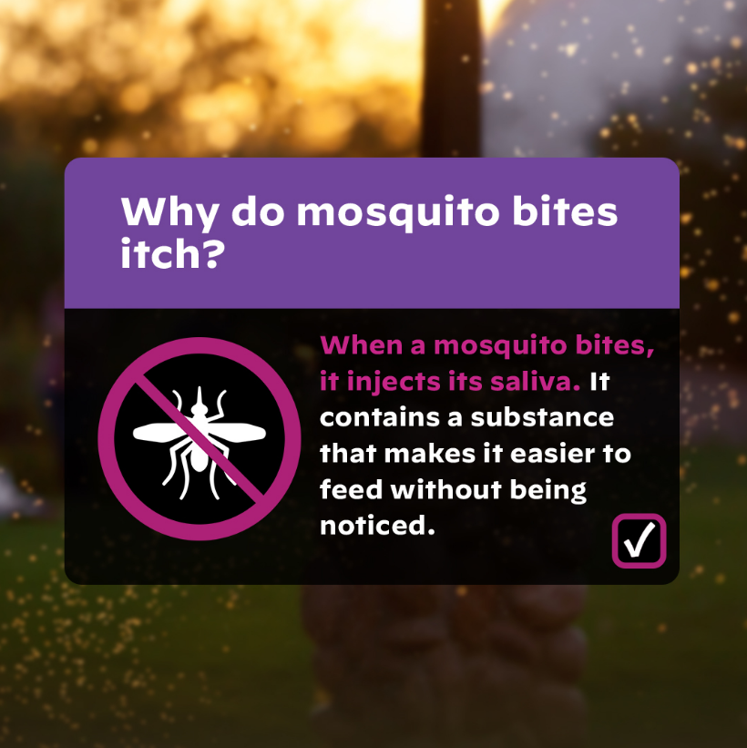 Screenshot 2026-01-22 143009.png