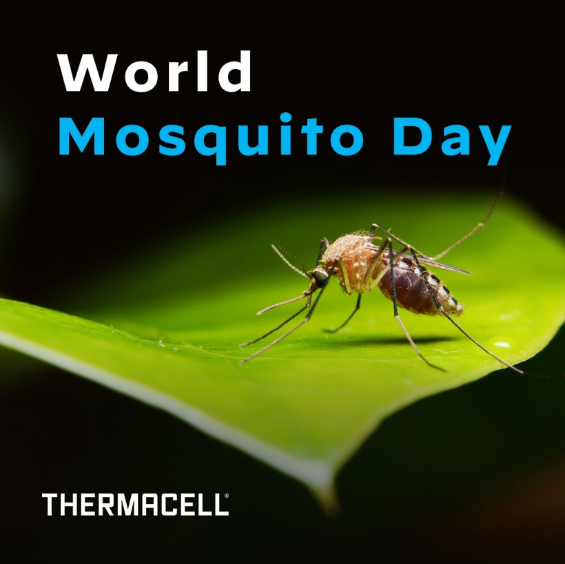 Screenshot 2026-01-22 142516.png