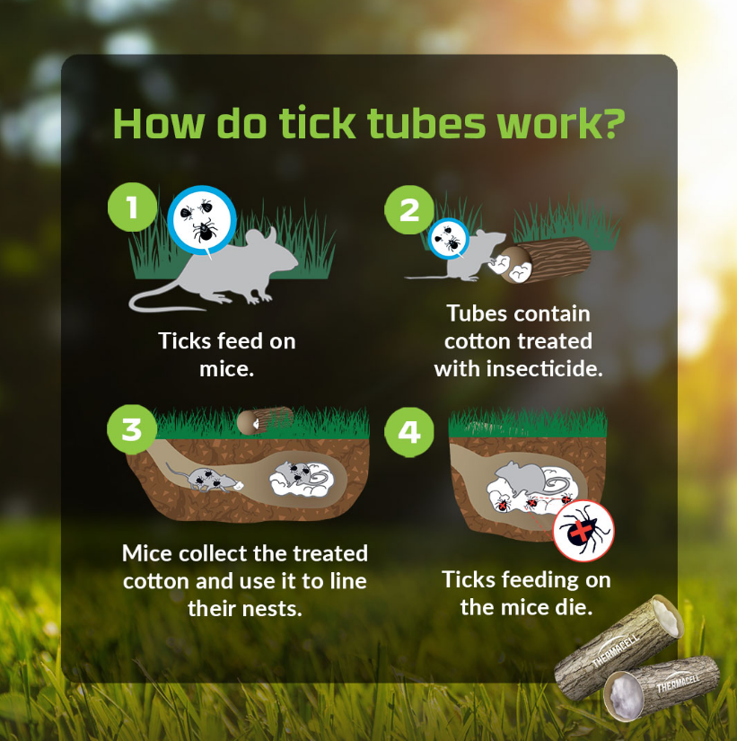 Screenshot 2026-01-22 143259.png