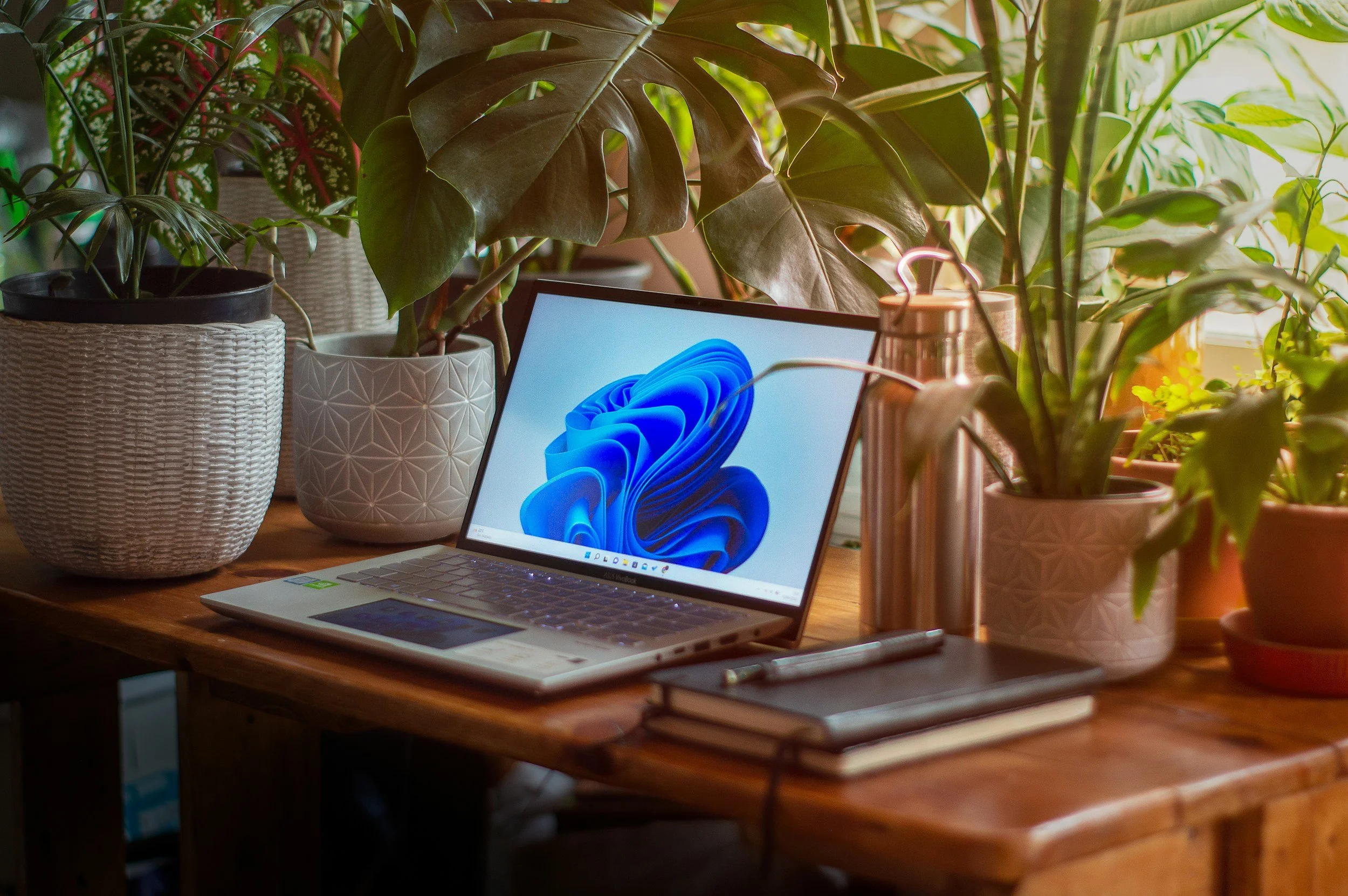 Laptop on a wooden desk surrounded by potted green plants.