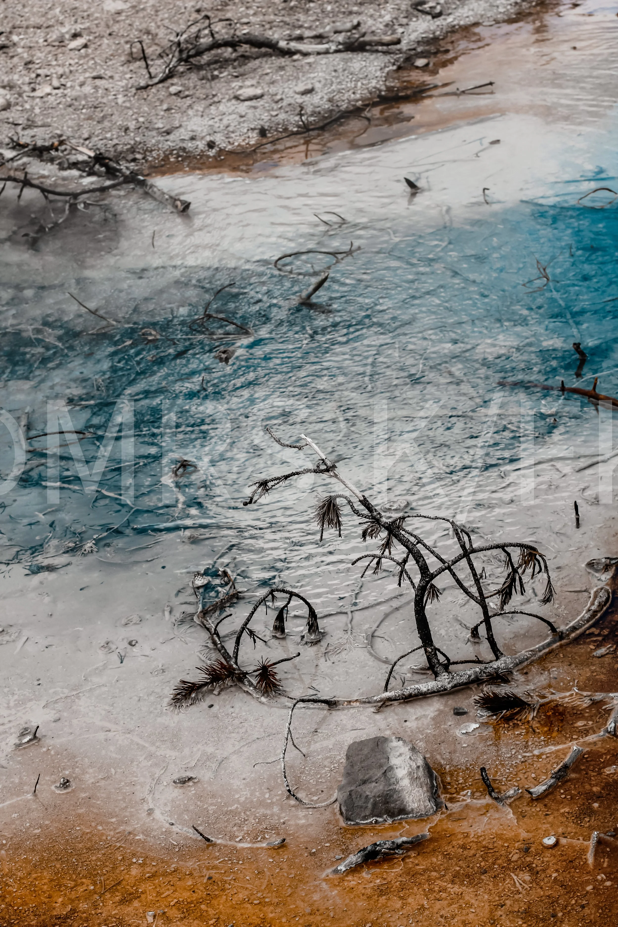 Masterpiece - Work of ART - A Hot Spring Desolate sandy shoreline with small rocks, scattered branches, and dried pine cones near a body of water, which is partially frozen or has ice along the edges.