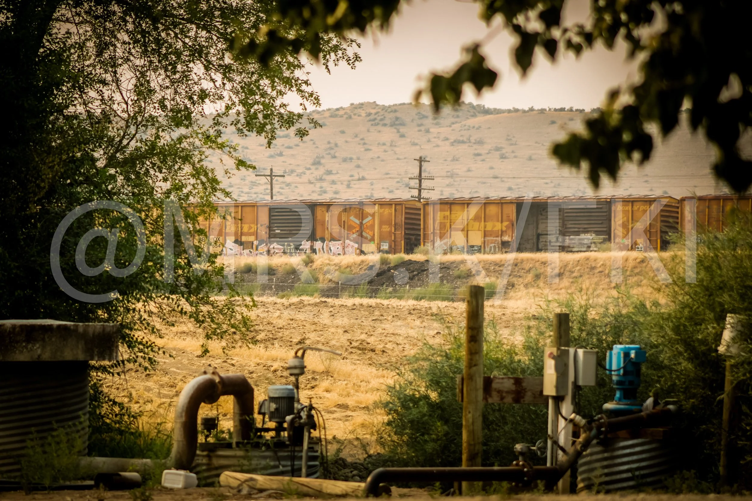 An Original Piece of Photography 1 of 10 to print Custom Fine Art - View of an old train - vandalized passing by hillside with sparse trees, framed by trees and pipes in the foreground of what seems to be a deserted farm.