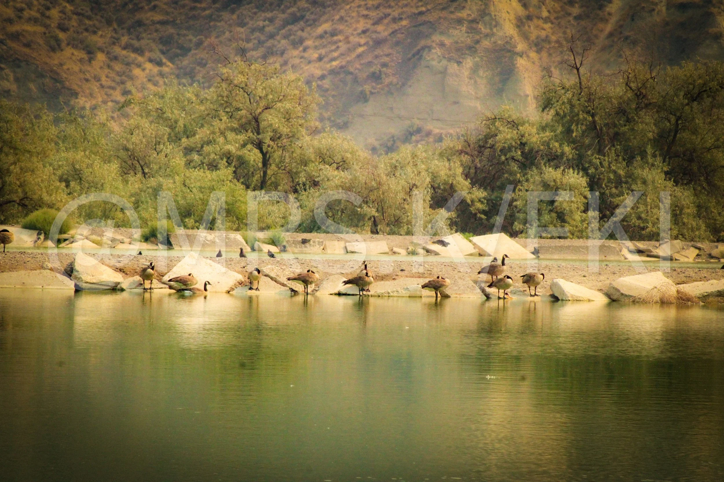 A Valley and Beyond the Pond.