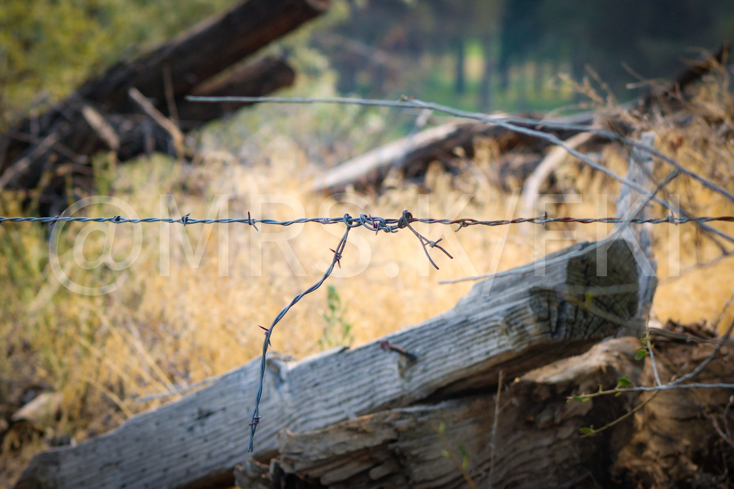 Custom Fine Art - A barbed wire fence runs beside a weathered wooden rail, with a blurred background of trees and grass.