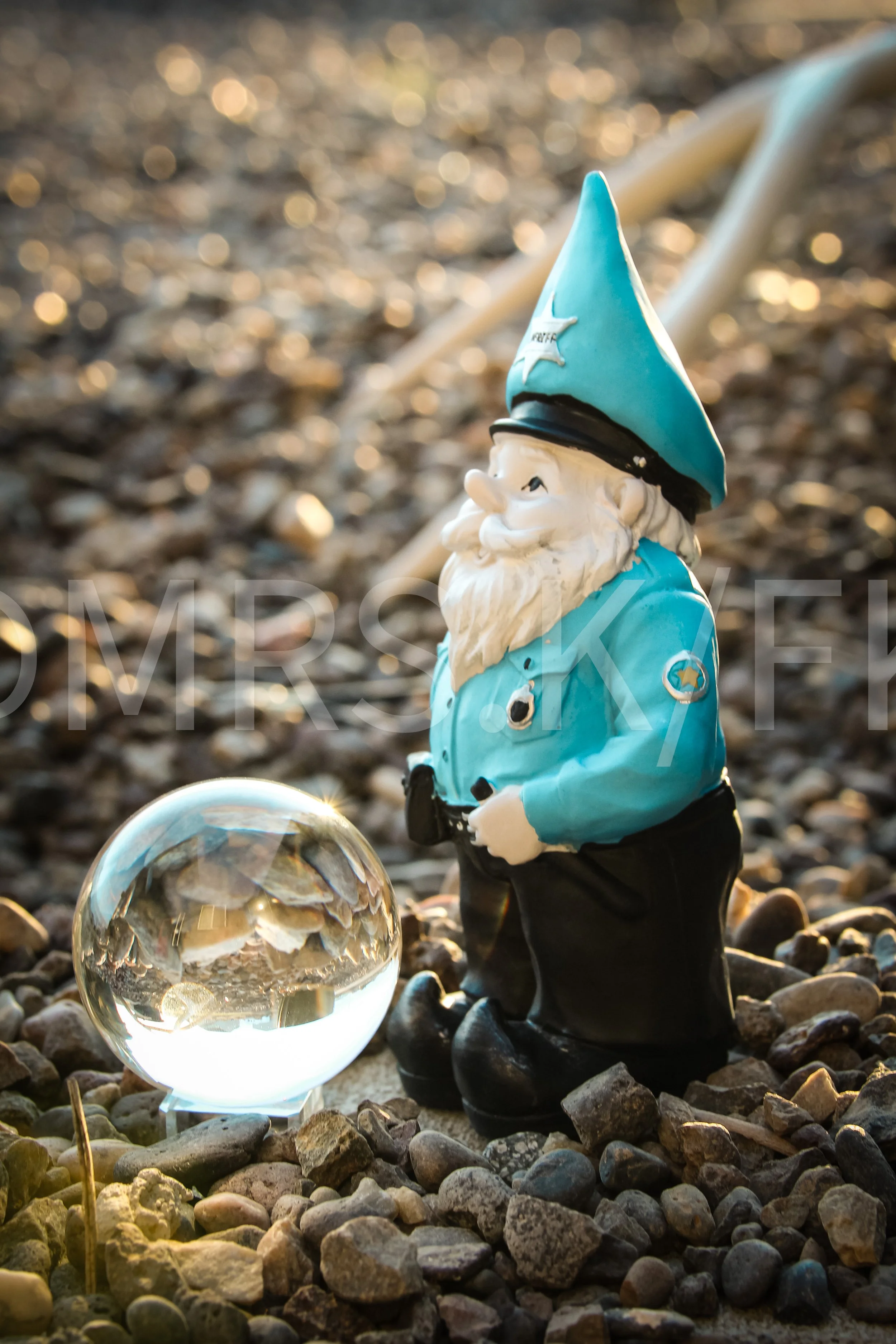 Who Would have Gnome this would Happen...