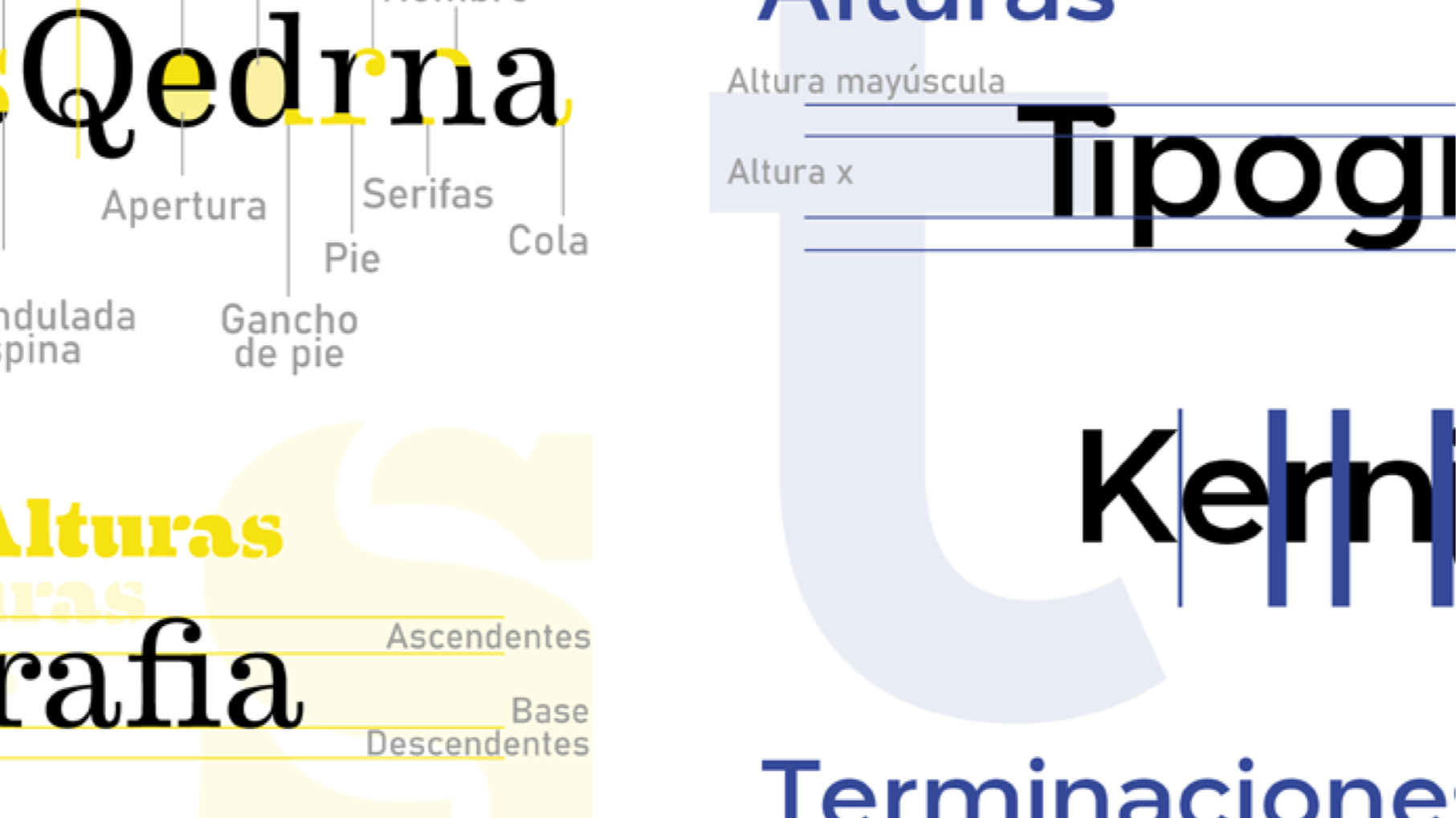 Analisis+tipografico+-+Dsgn.ya.png