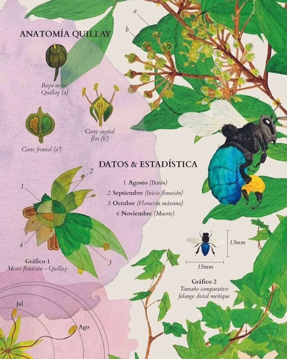 ARCHIVE 003: Biological Data Visualization