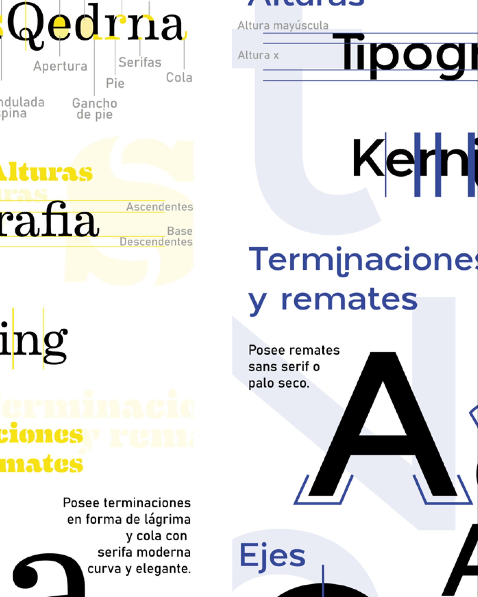 ARCHIVE 002: Typographic Analysis