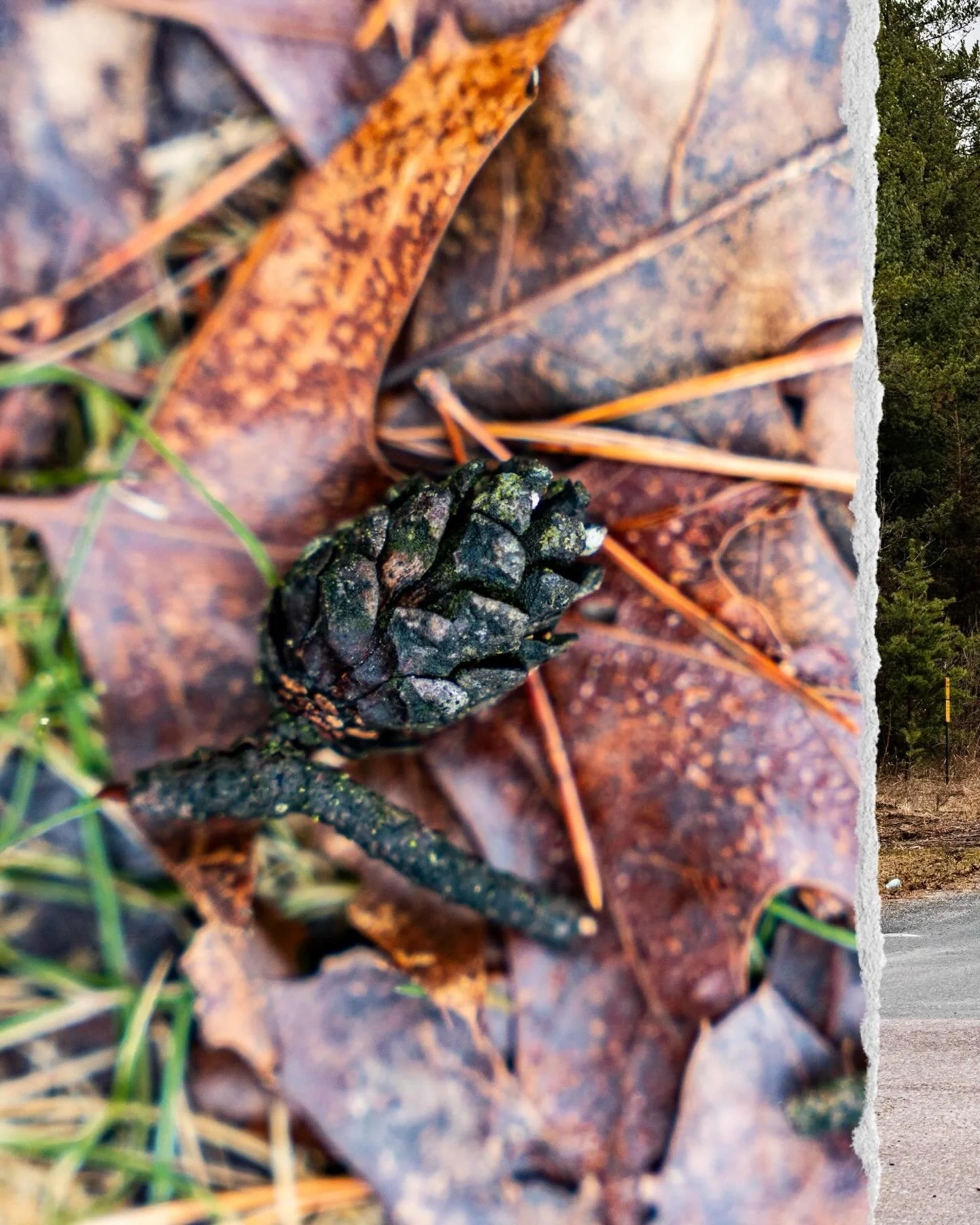 Mirror Lake, slowly waking up from a winter slumber.
#yerphotos #mirrorlake