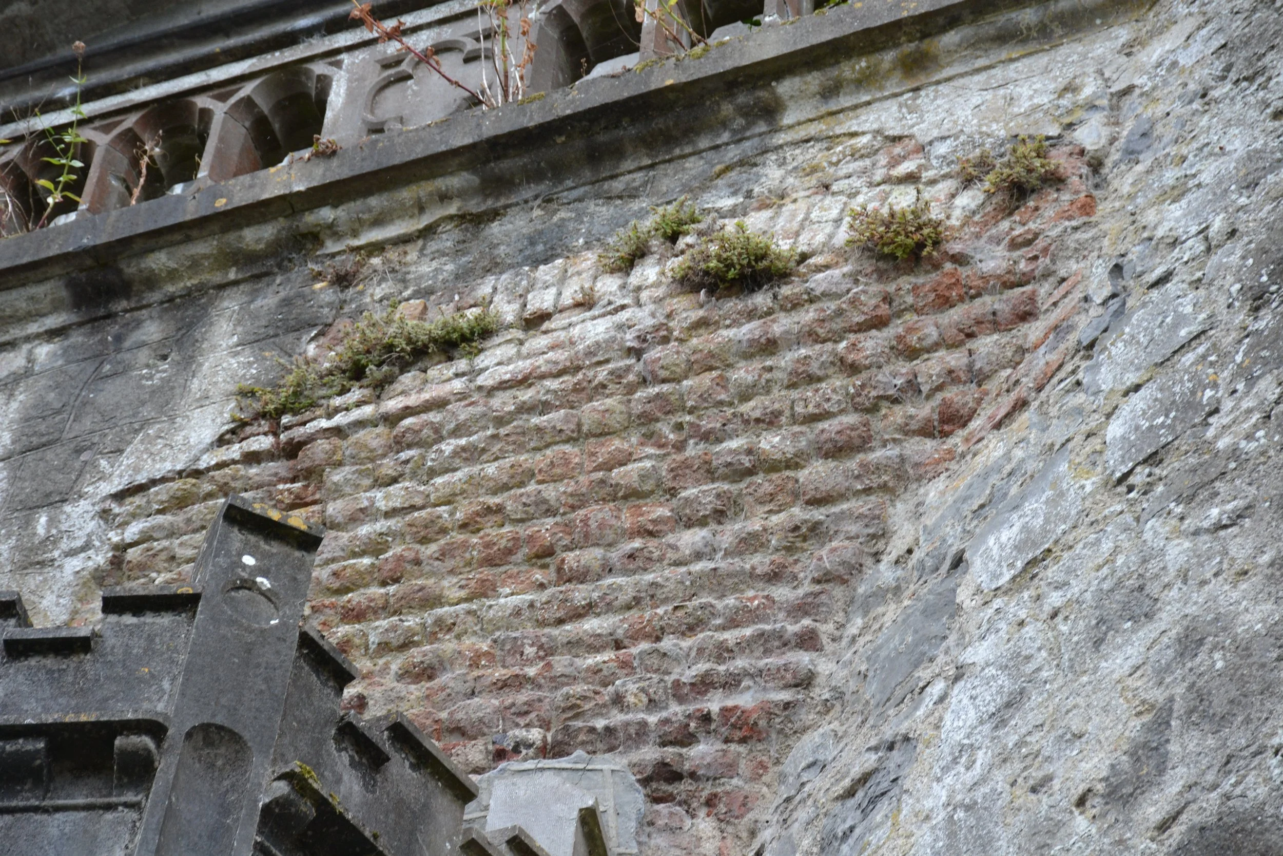Exposed brick repair within the historic stone walls of Kilkenny Castle, with vegetation growing from mortar joints.