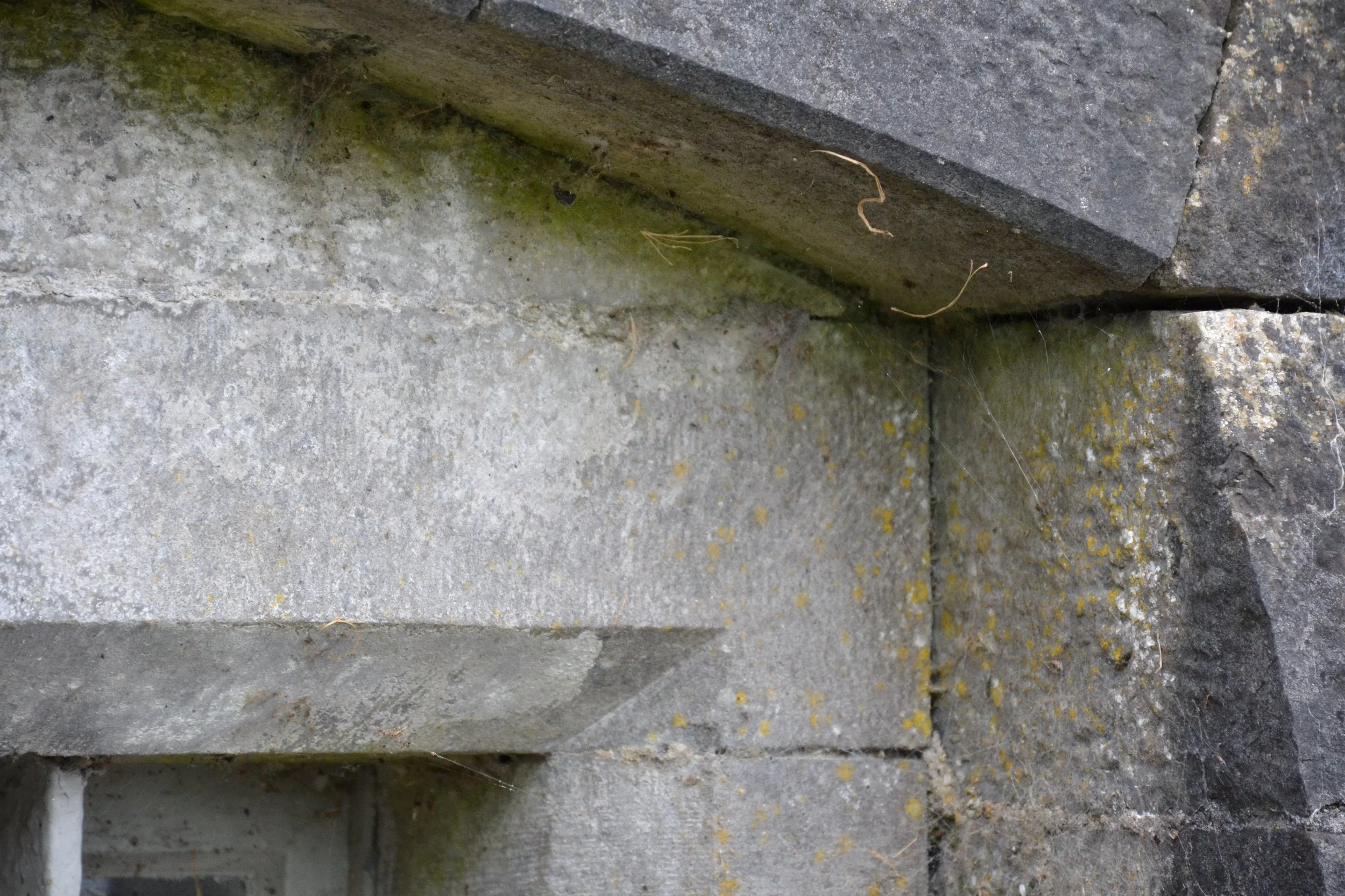 Close-up of a stone arch at Kilkenny Castle showing an open joint, moisture staining, and biological growth.