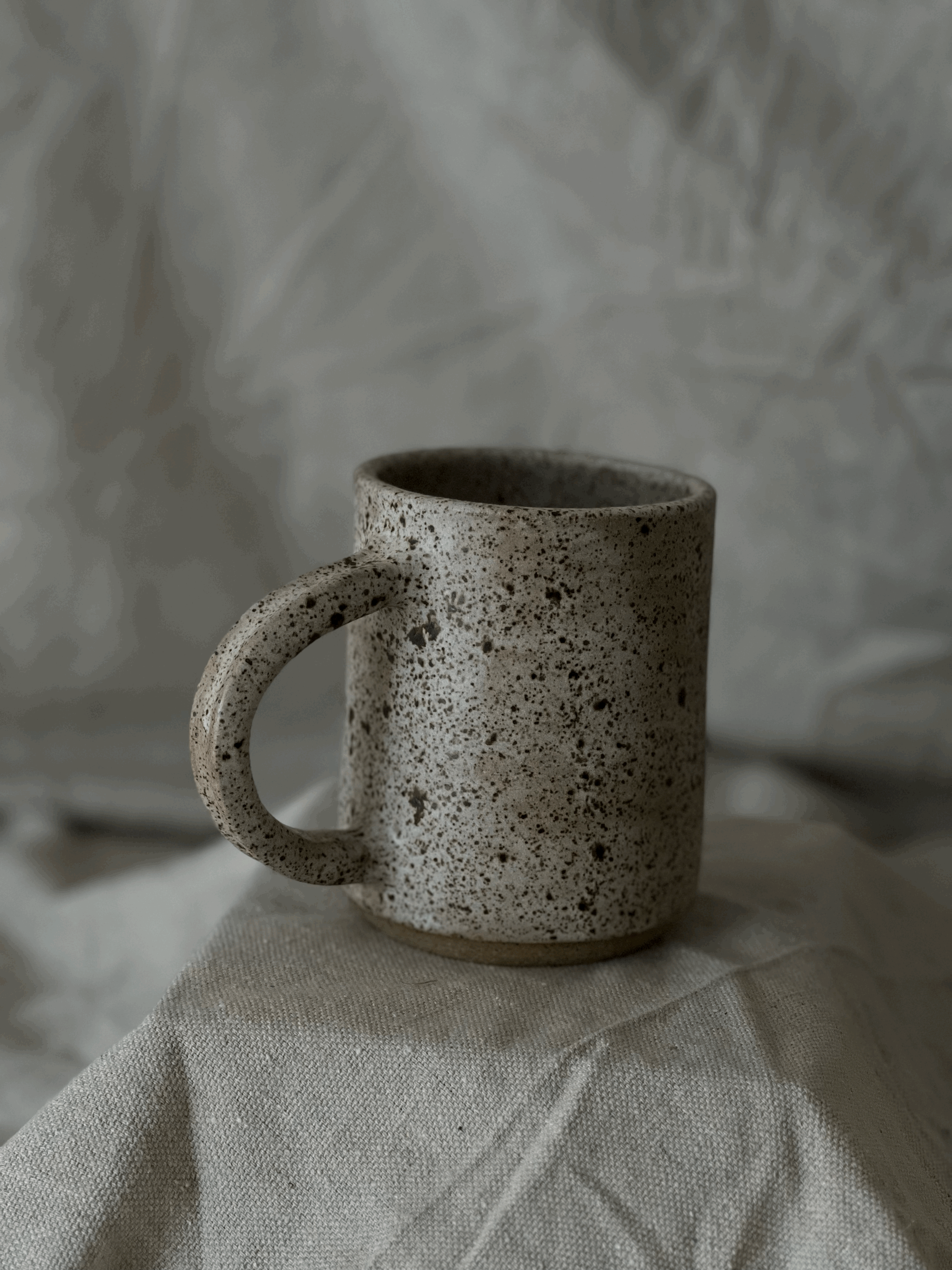 Sandy Speckles Mug - Speckled Clay