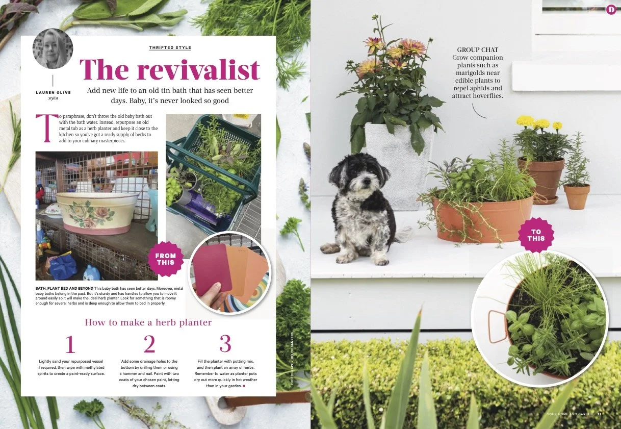 Yh0924_DEC_Thrifted style.jpg