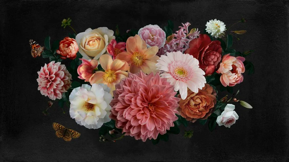 The Beauty of Rose