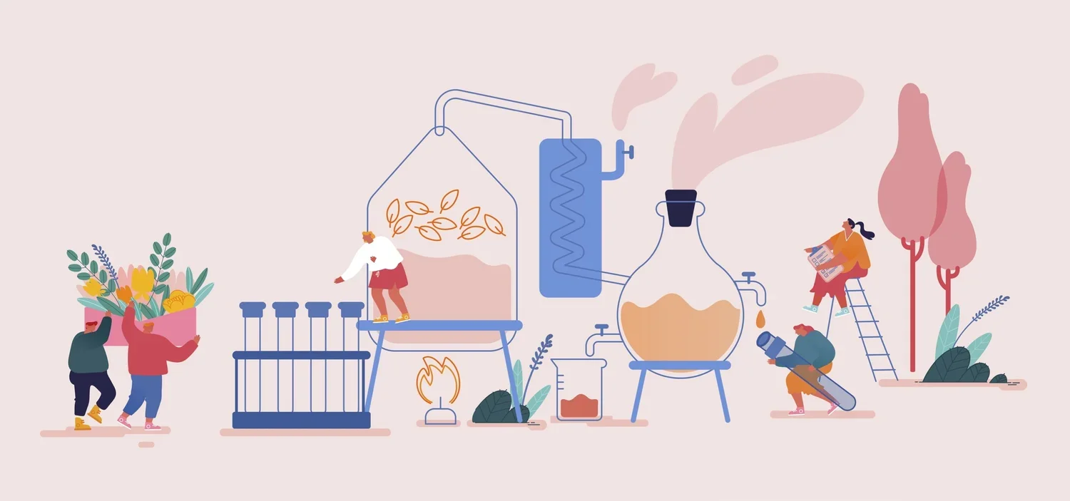 Decoding Essential Oils