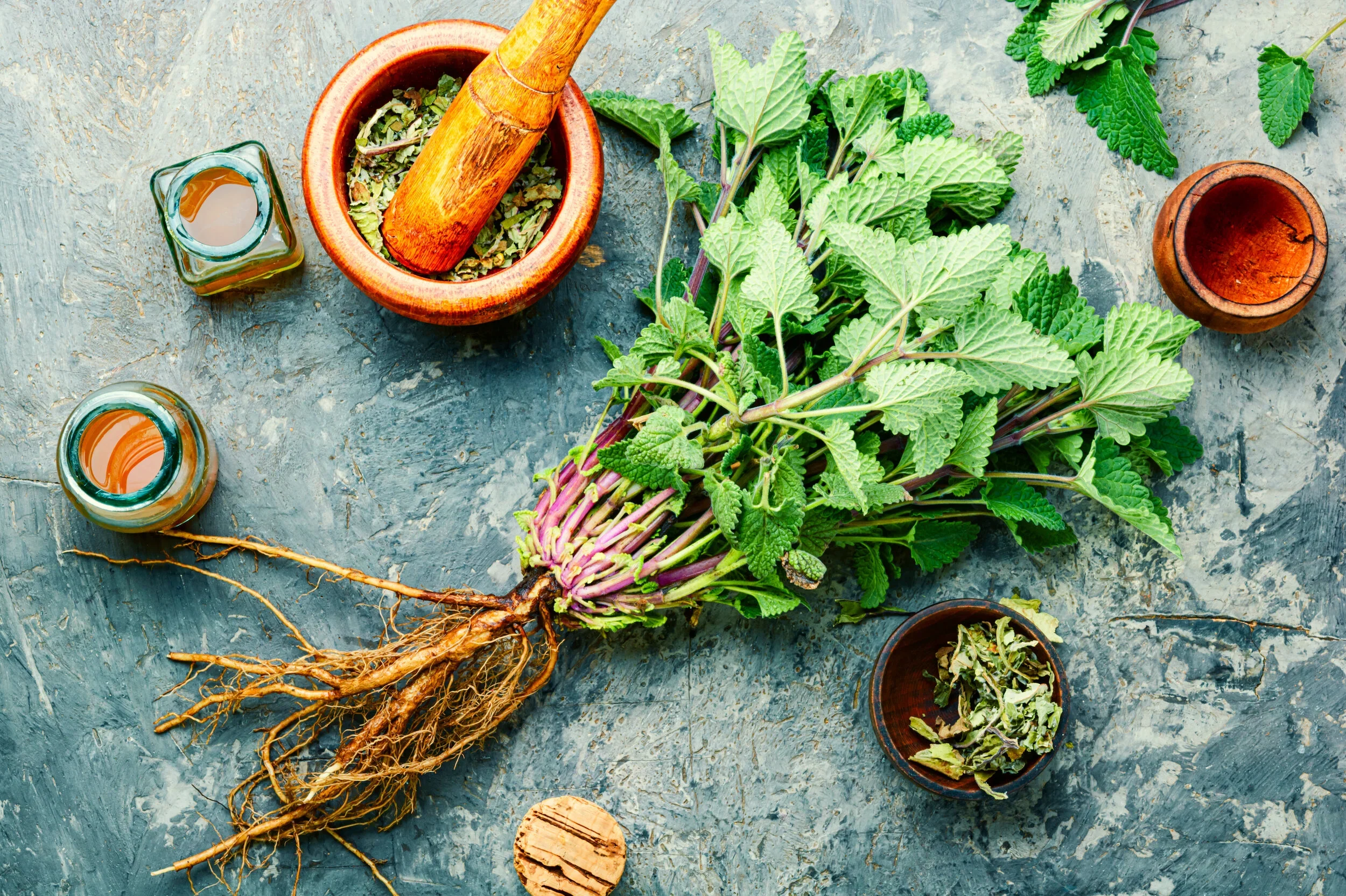 The In-Between and the Beauty of Lemon Balm