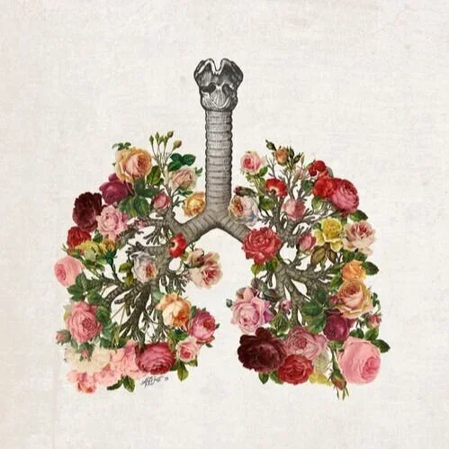 Breathe.