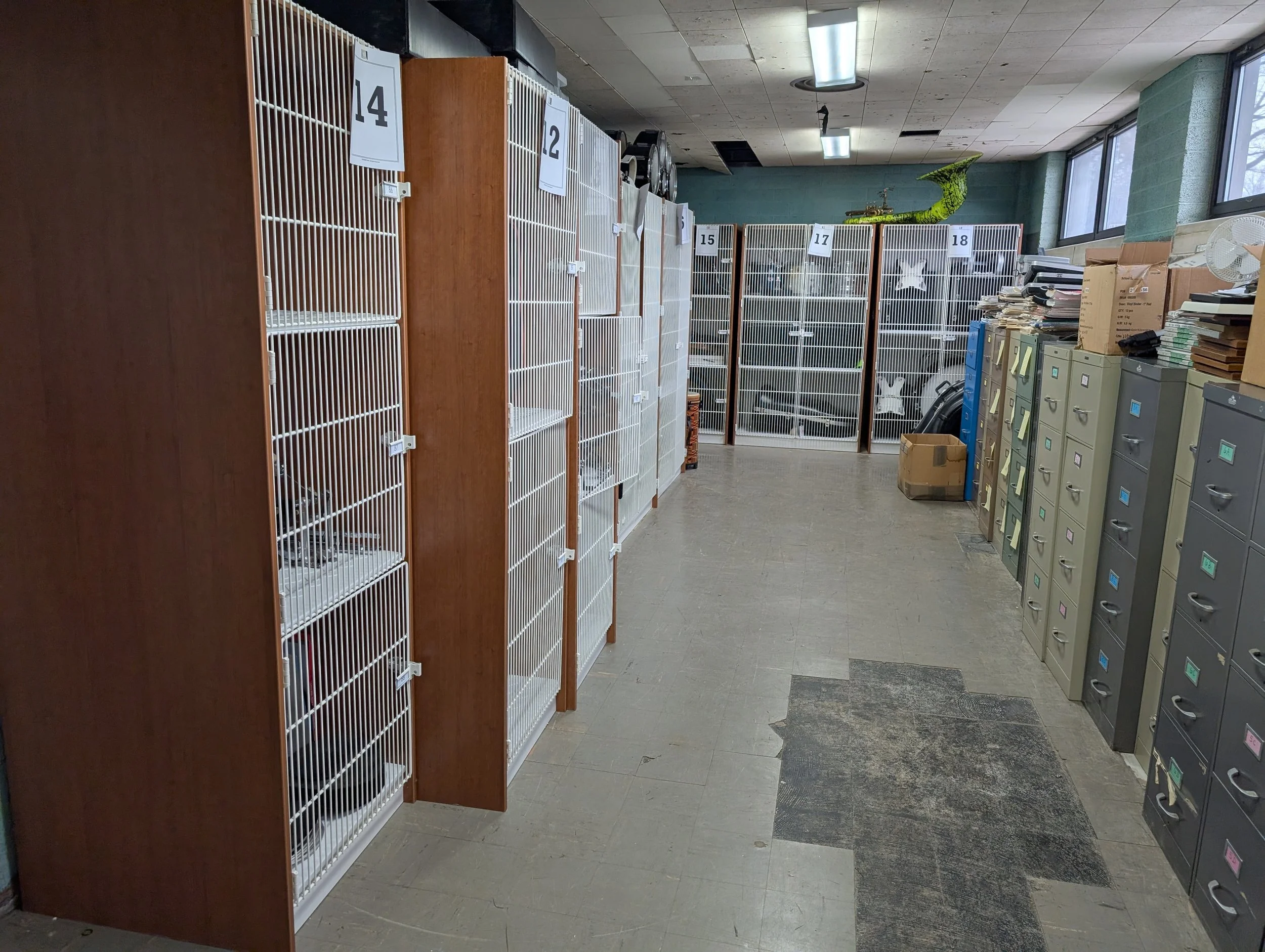 Music Room Reno-Day 2