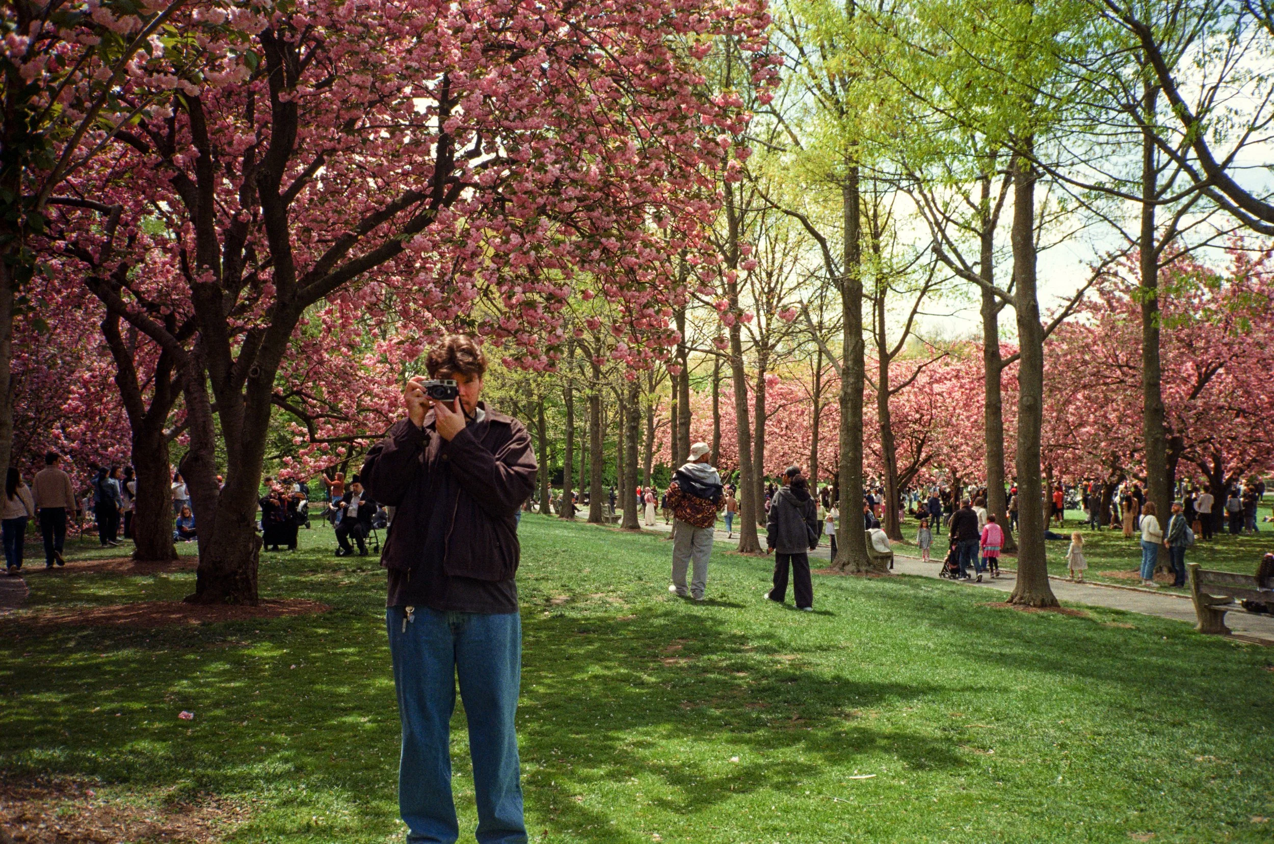 A young man taking a photo with a camera in a park with pink blossoming trees and other people walking, sitting, and enjoying the day.