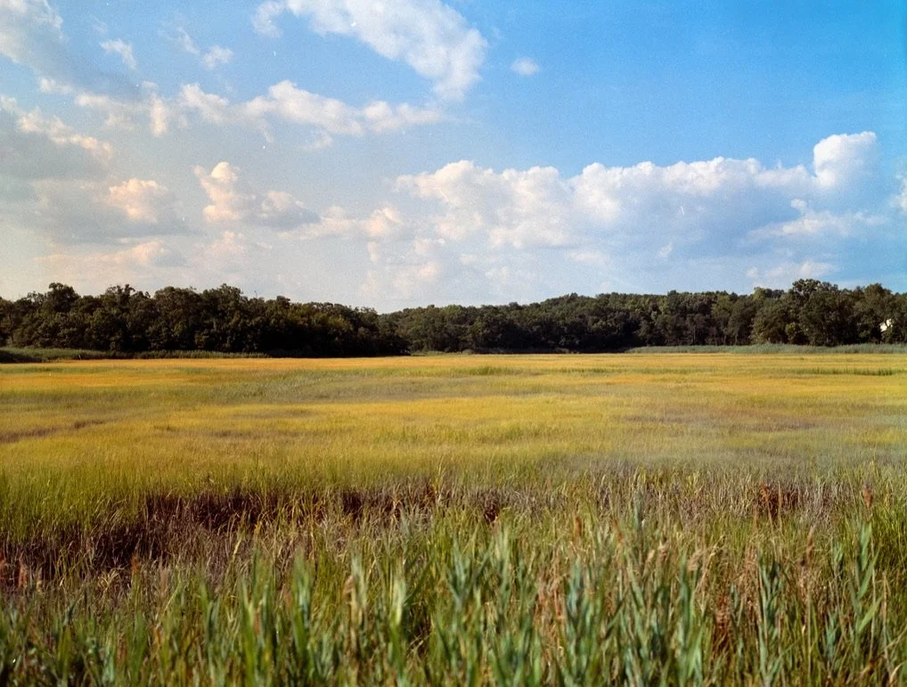 A wide view of a grassy field with trees in the distance and a partly cloudy blue sky.