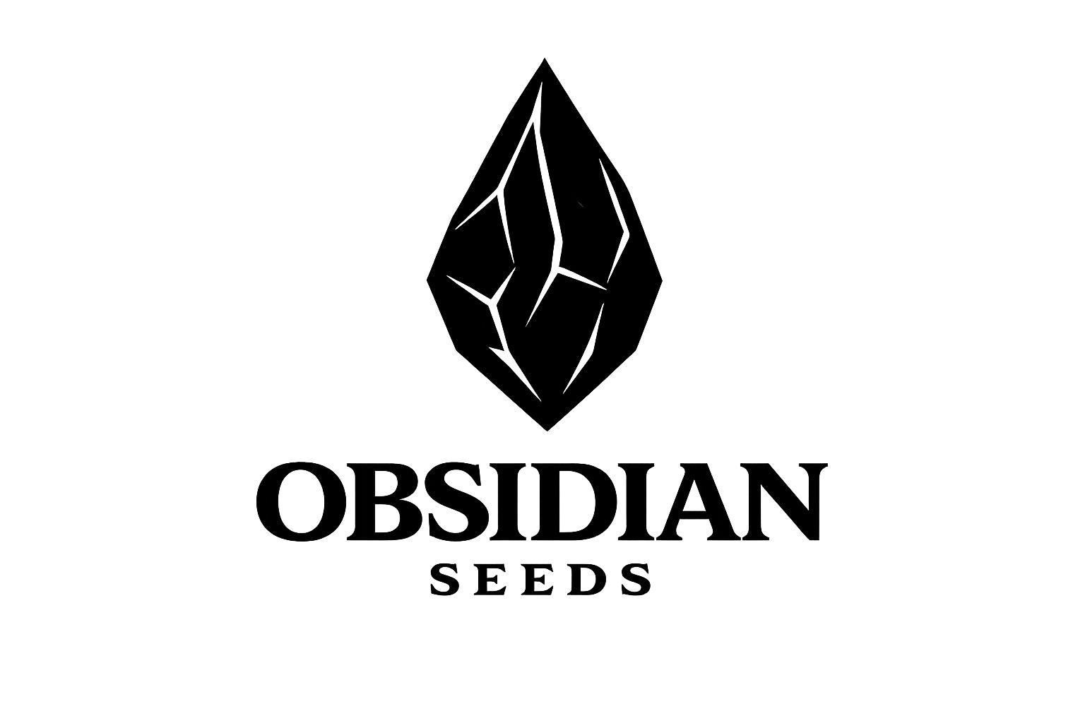 A black square with thin white text that reads "Create a New Document" and a smaller text below that says "Blank document".