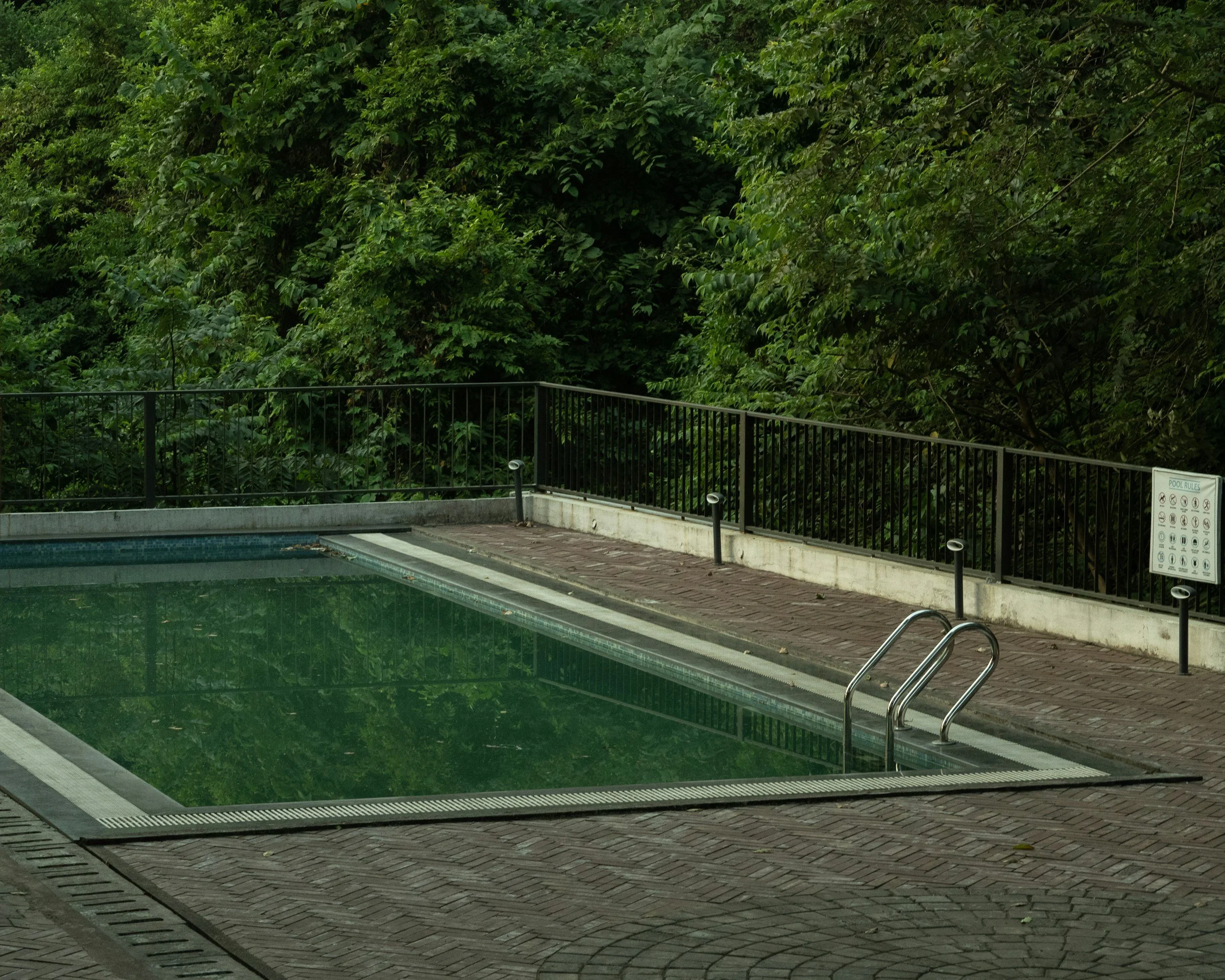 Empty outdoor swimming pool surrounded by a brick deck, black metal fence, and lush green trees in the background.